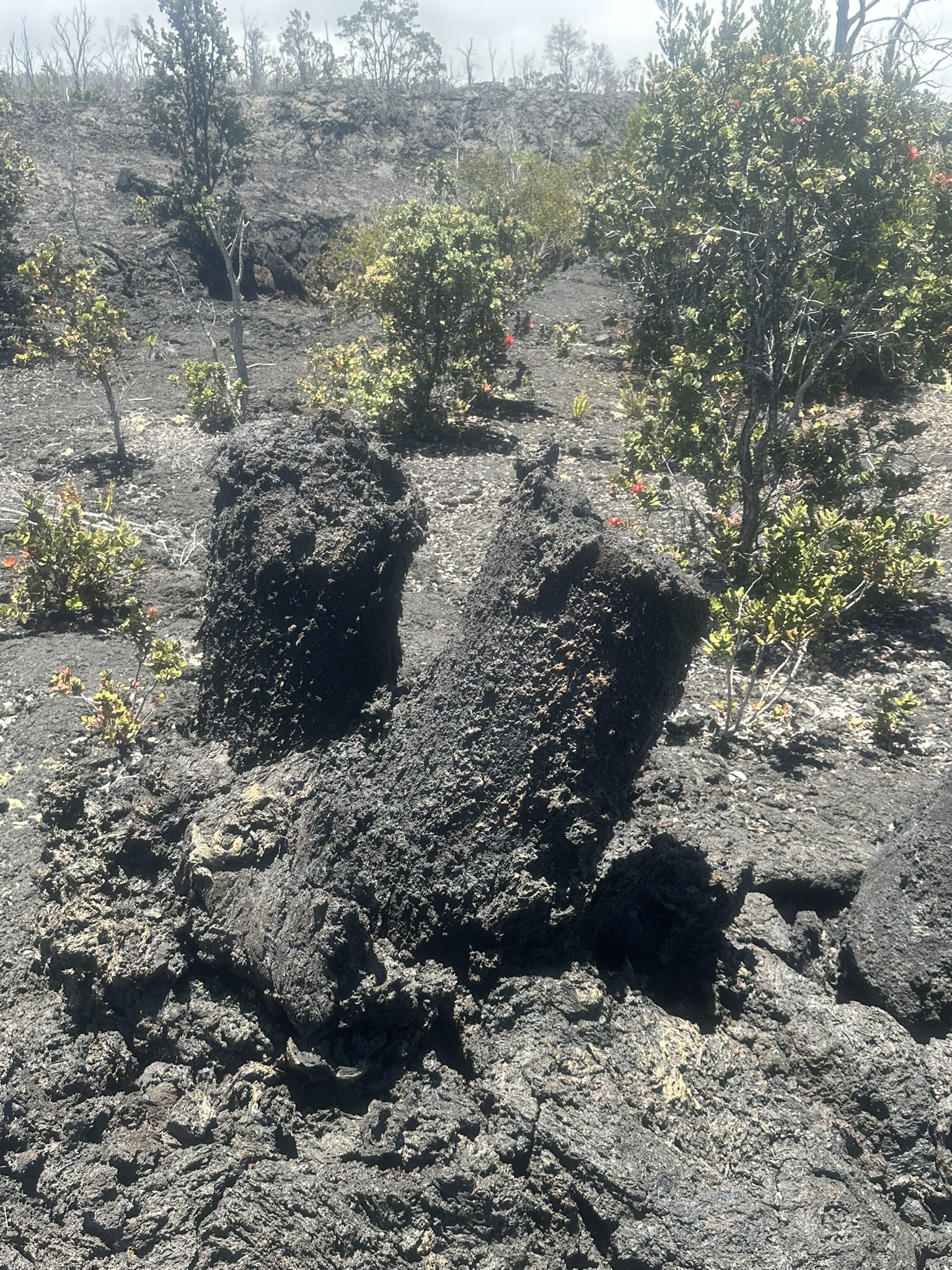 Hawaii - Kilauea Erupting - Image 104