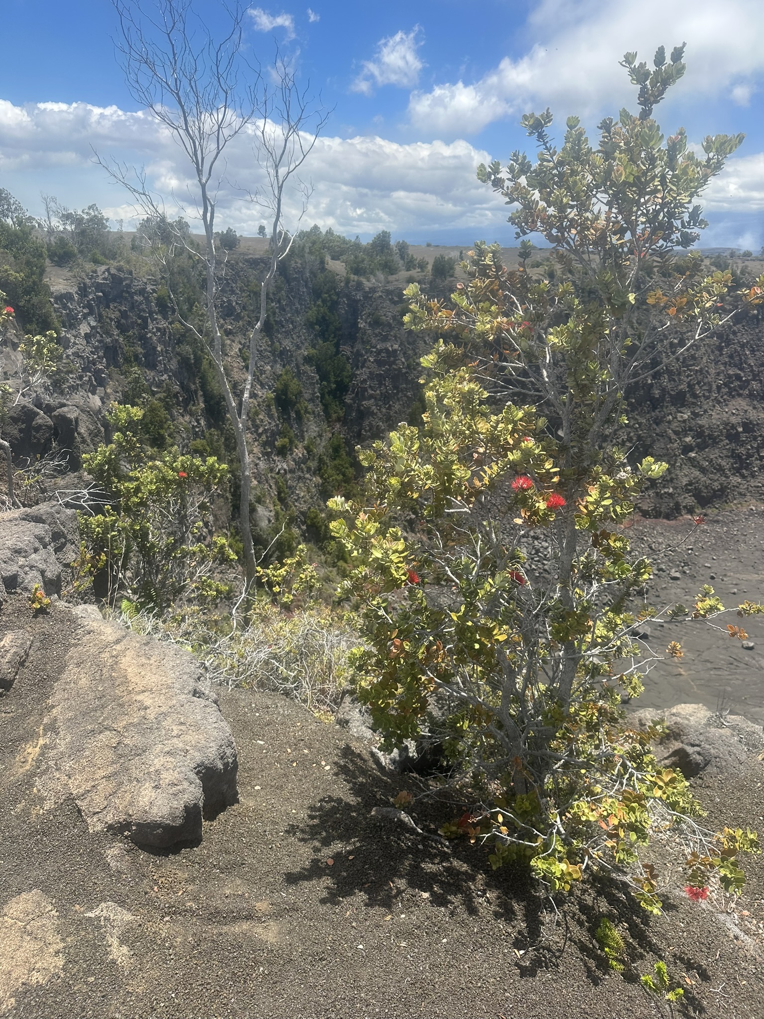 Hawaii - Kilauea Erupting - Image 111