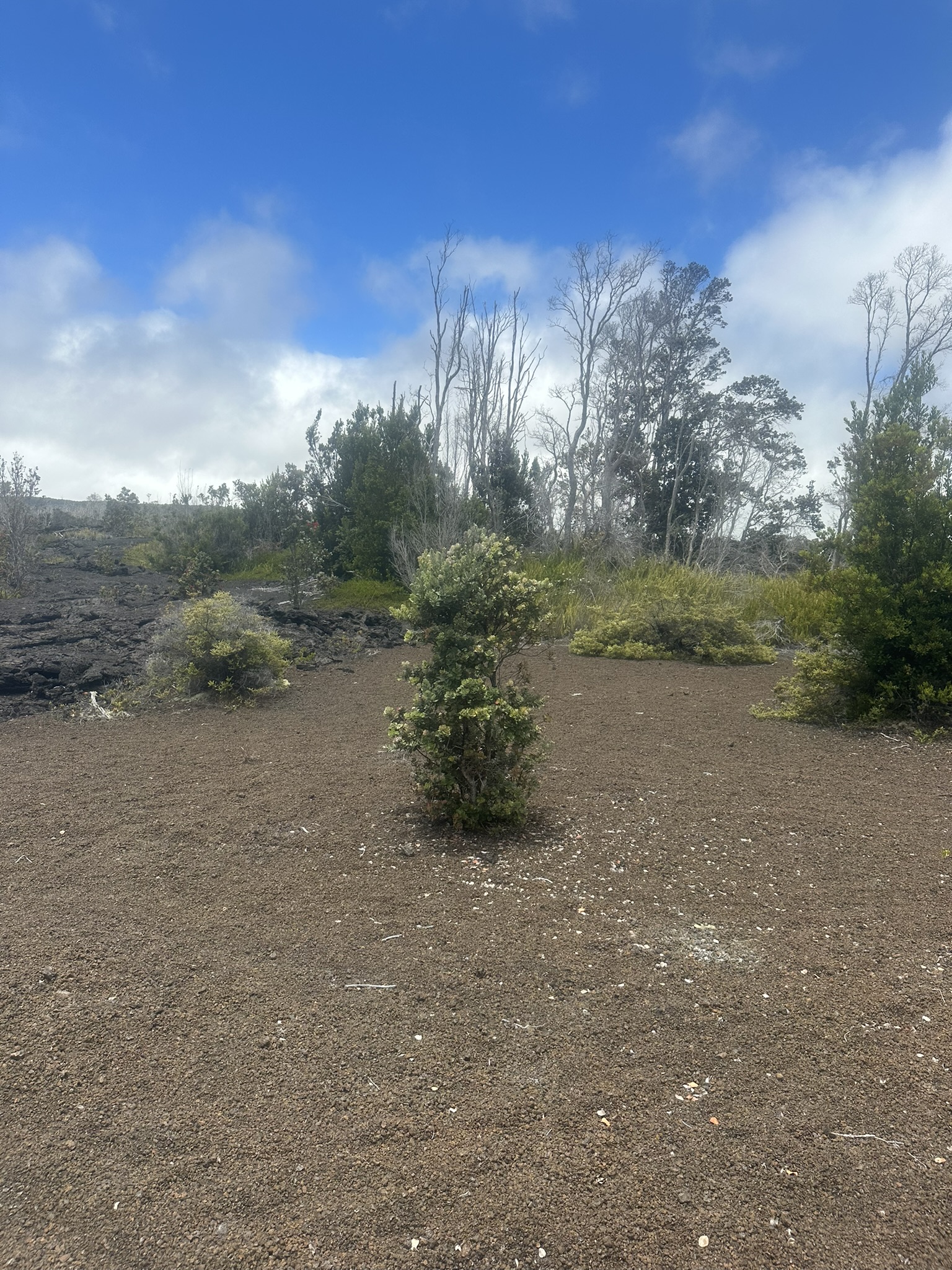 Hawaii - Kilauea Erupting - Image 113