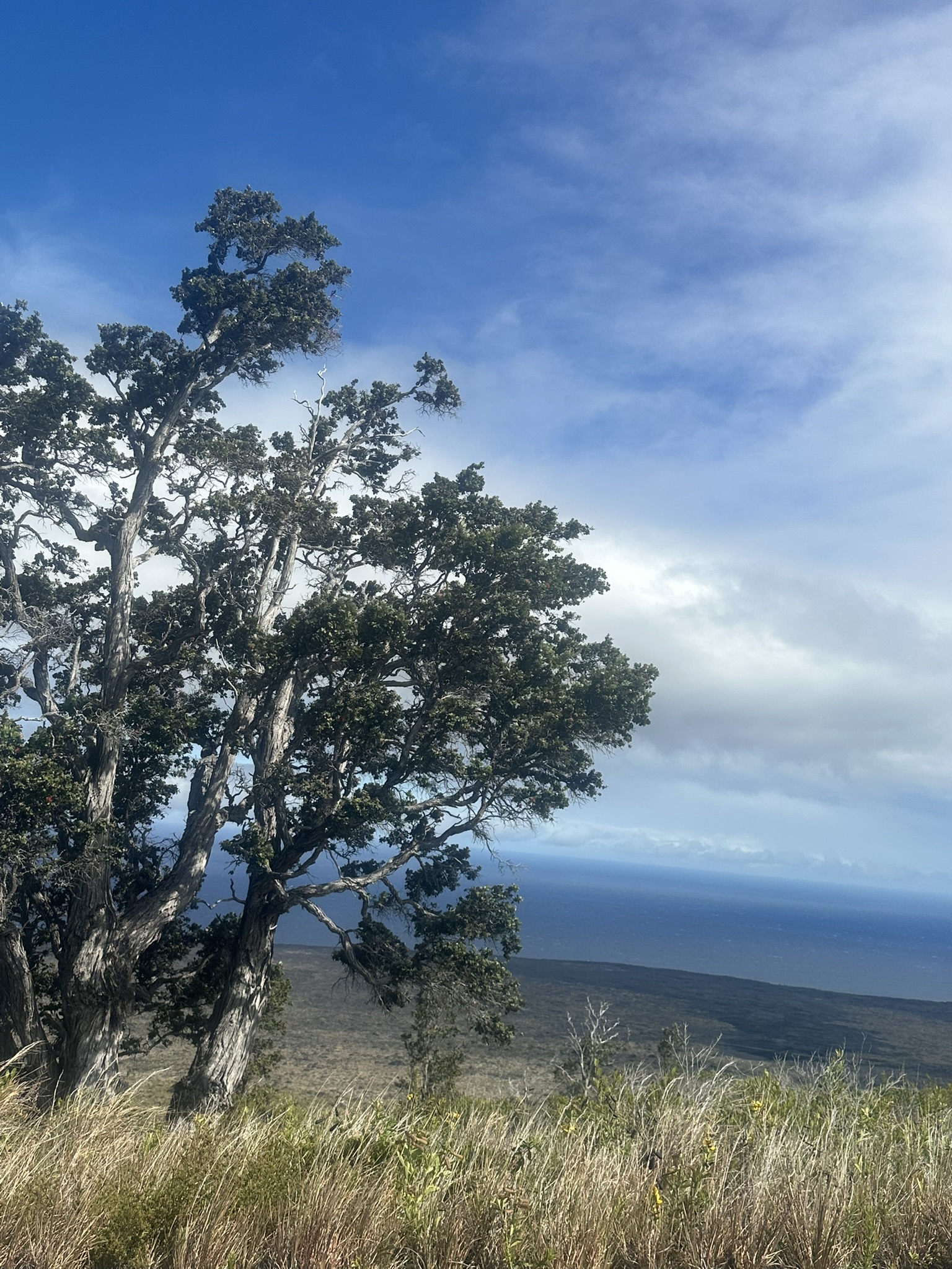 Hawaii - Kilauea Erupting - Image 198