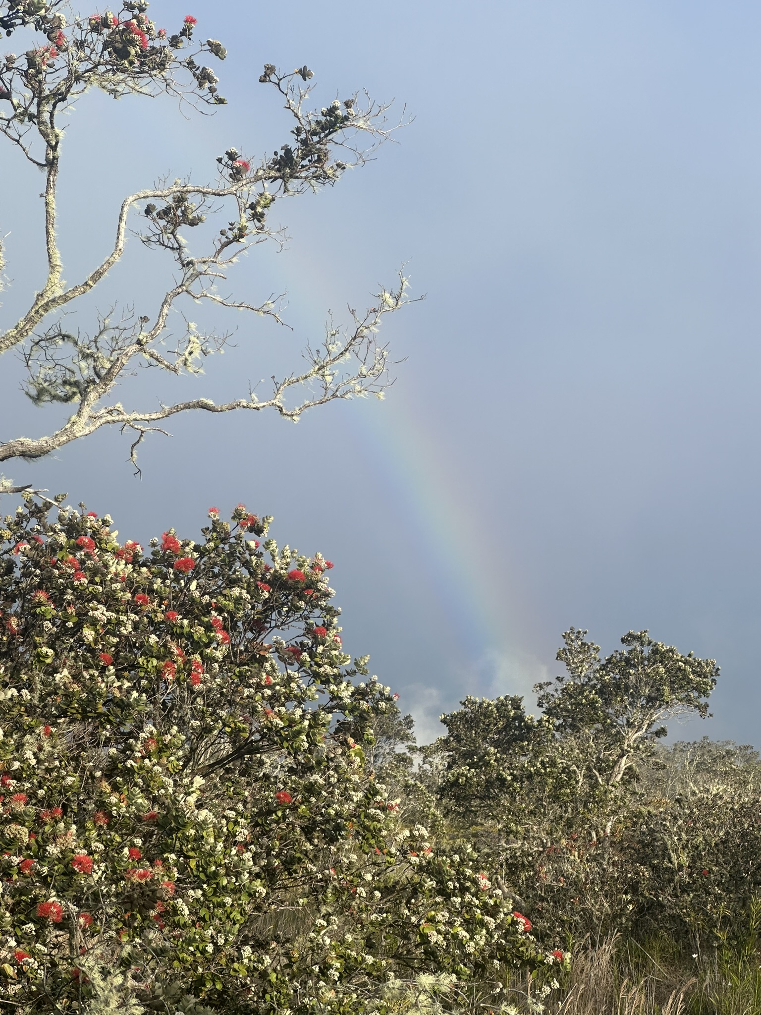 Hawaii - Kilauea Erupting - Image 382