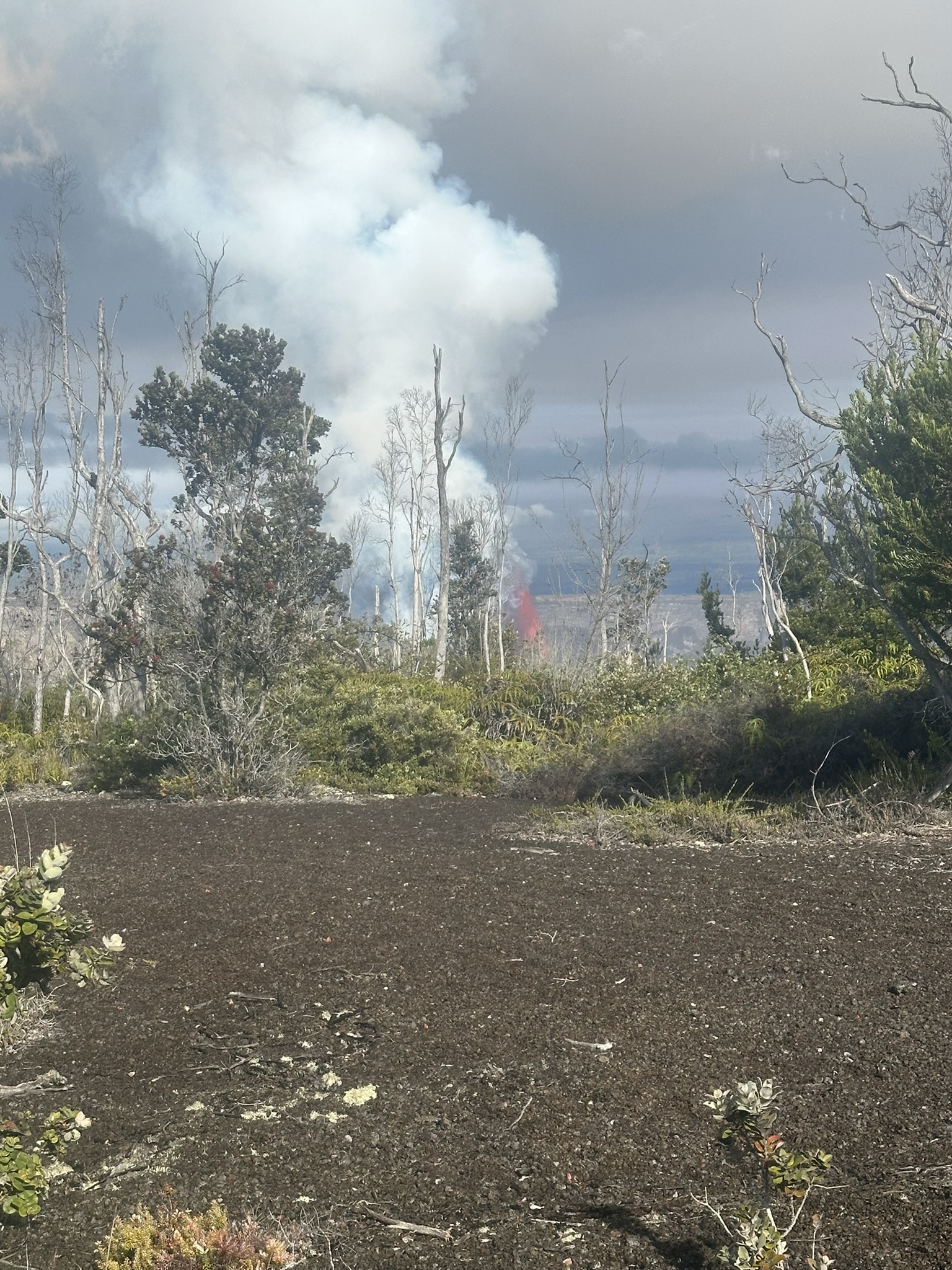 Hawaii - Kilauea Erupting - Image 678
