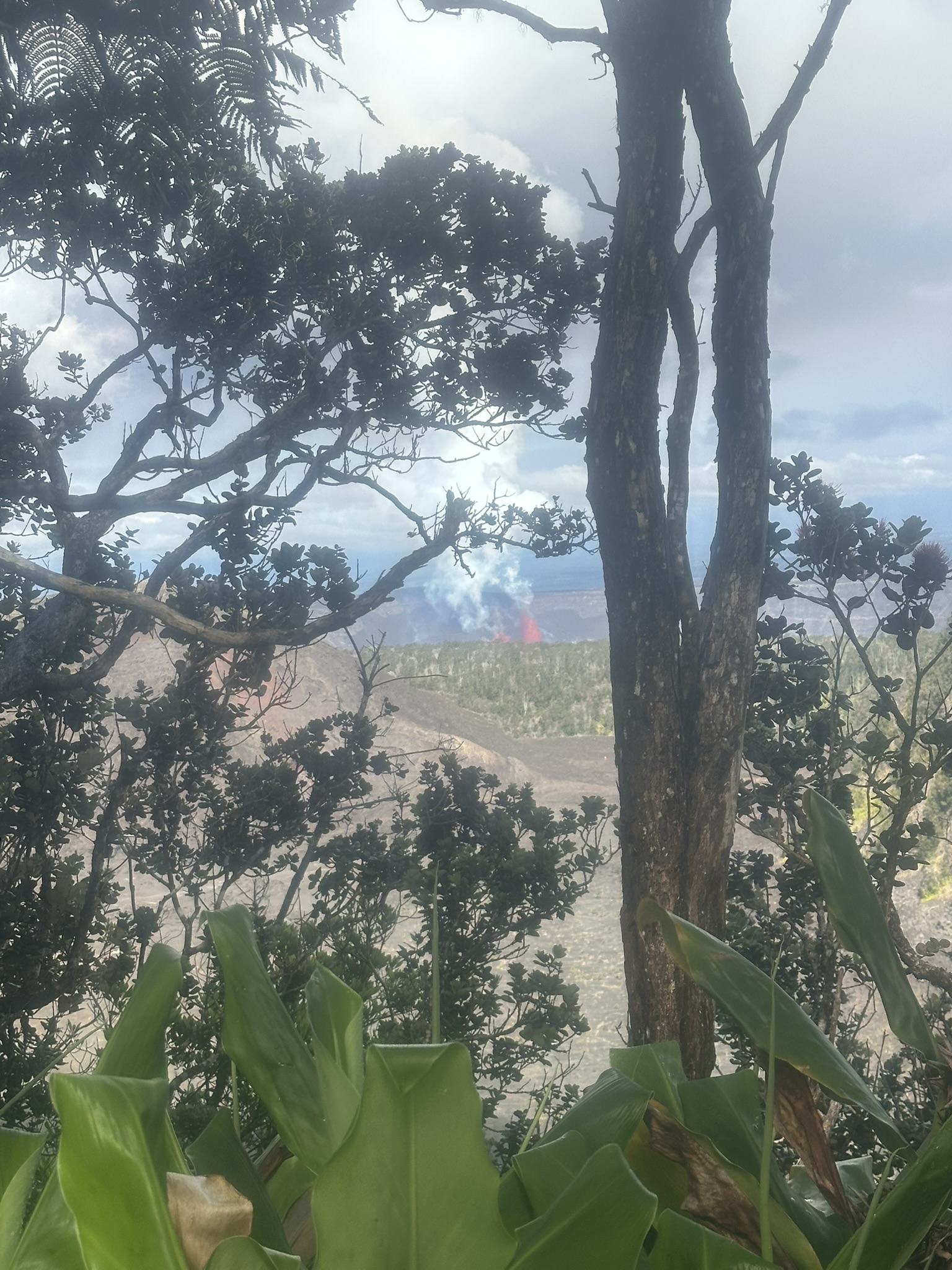Hawaii - Kilauea Erupting - Image 682