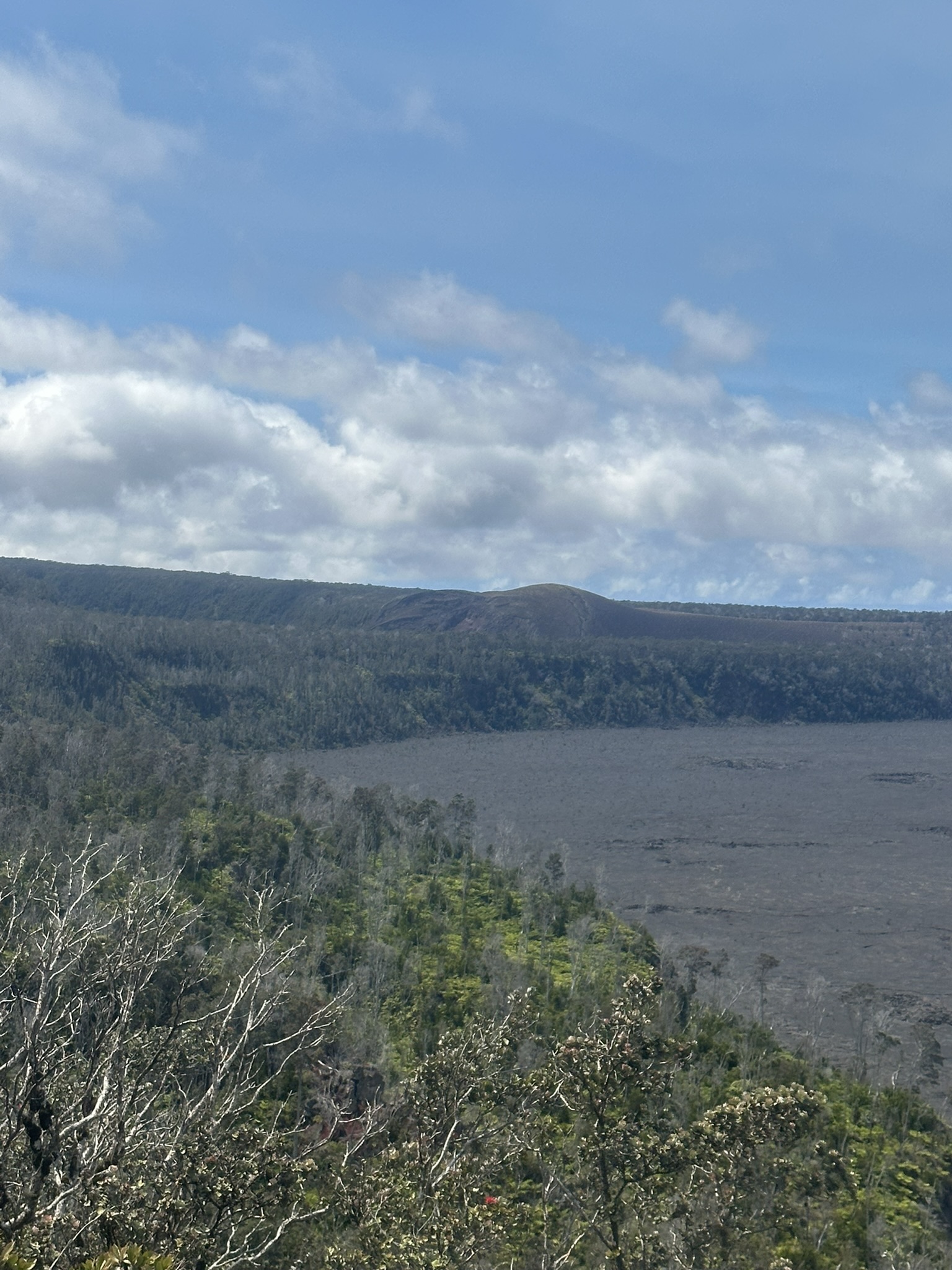 Hawaii - Kilauea Erupting - Image 764