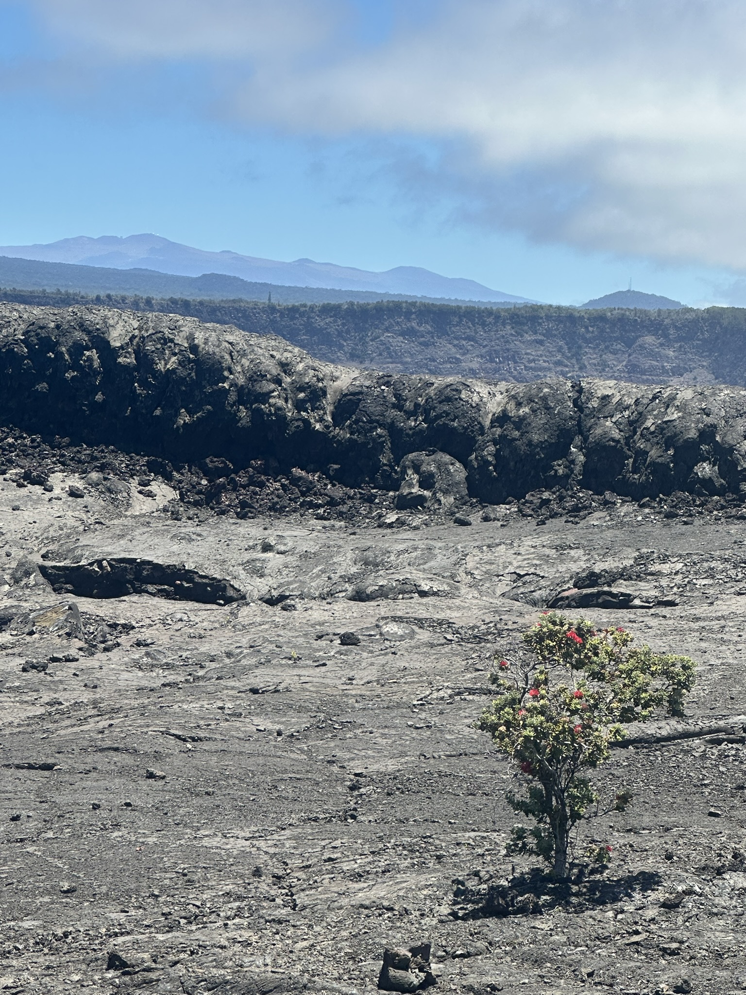Hawaii - Kilauea Erupting - Image 864
