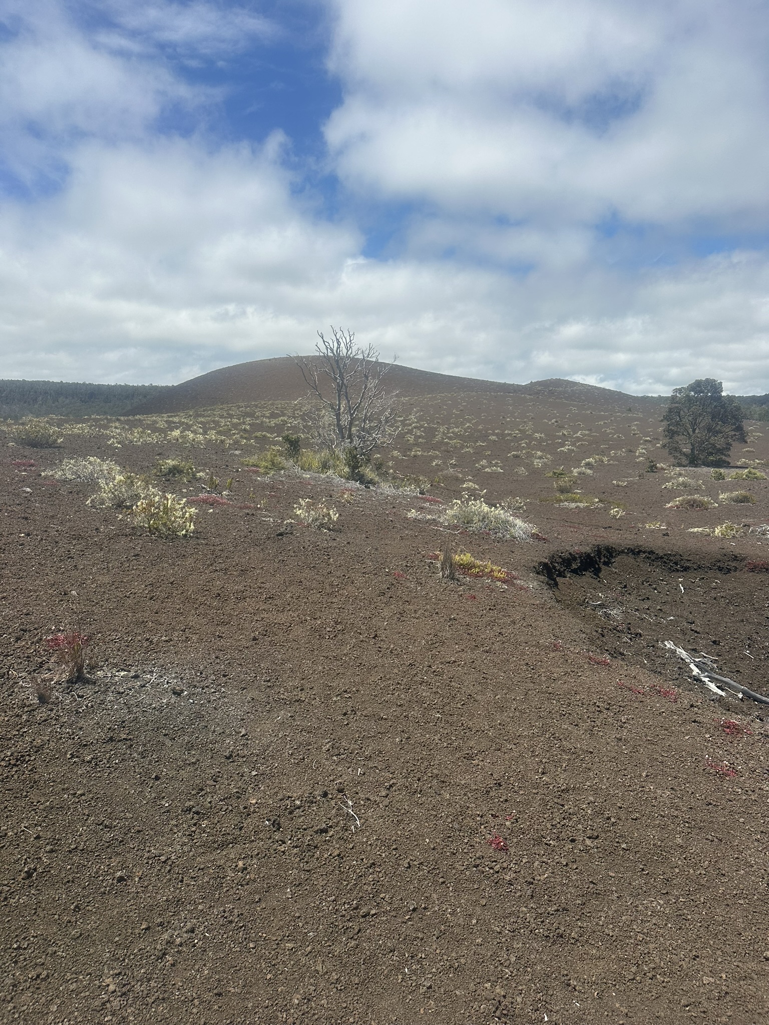 Hawaii - Kilauea Erupting - Image 881