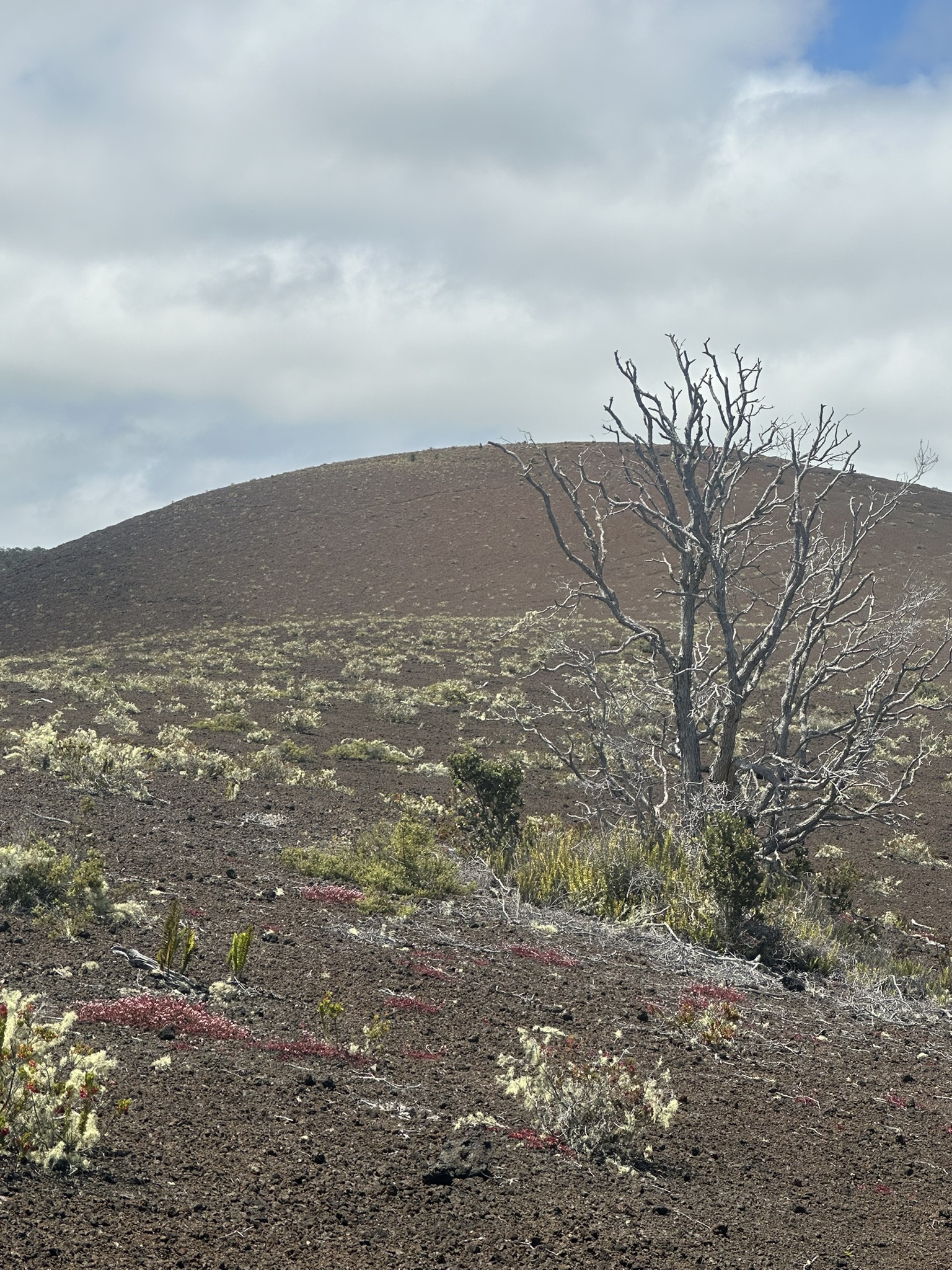 Hawaii - Kilauea Erupting - Image 882