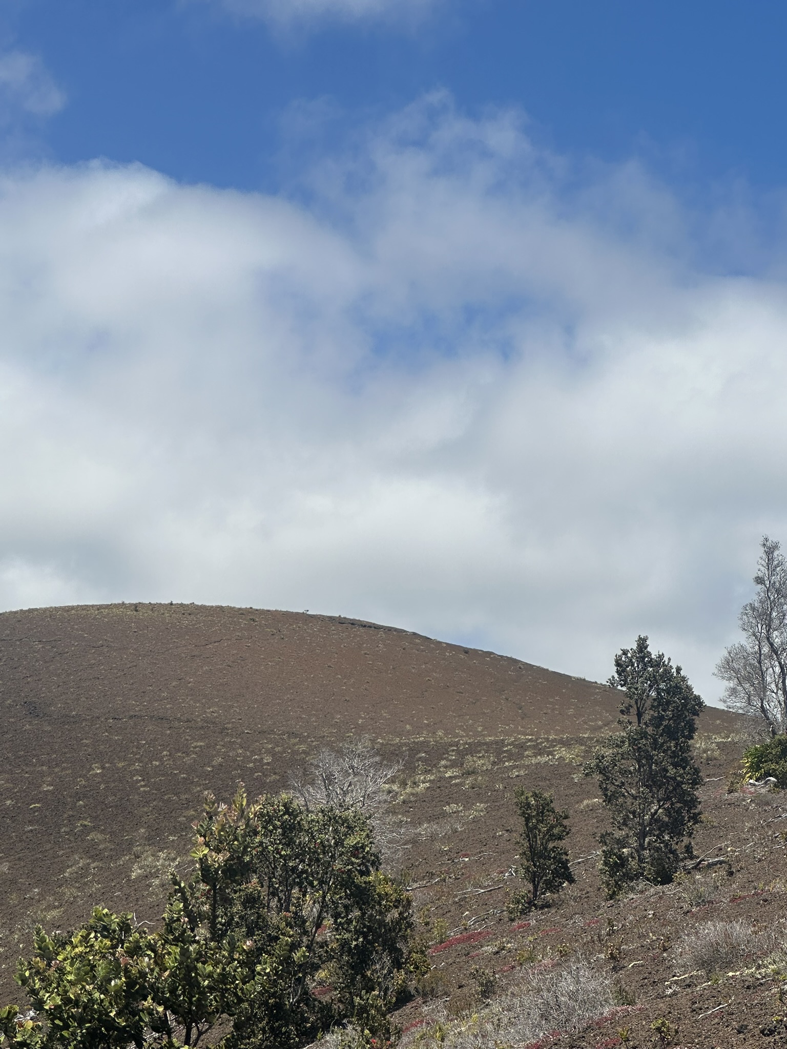 Hawaii - Kilauea Erupting - Image 884