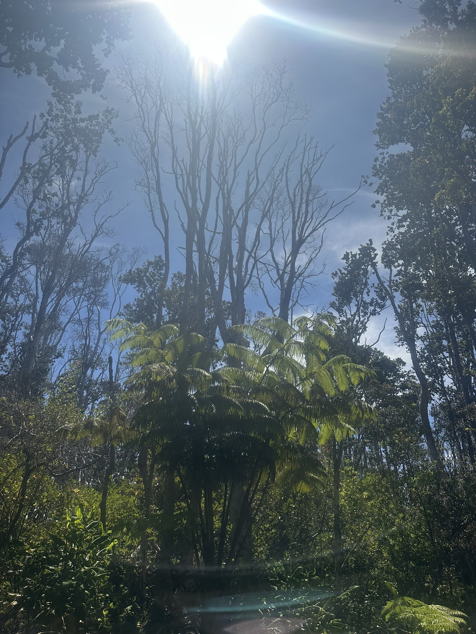 Hawaii - Kilauea Erupting - Image 889