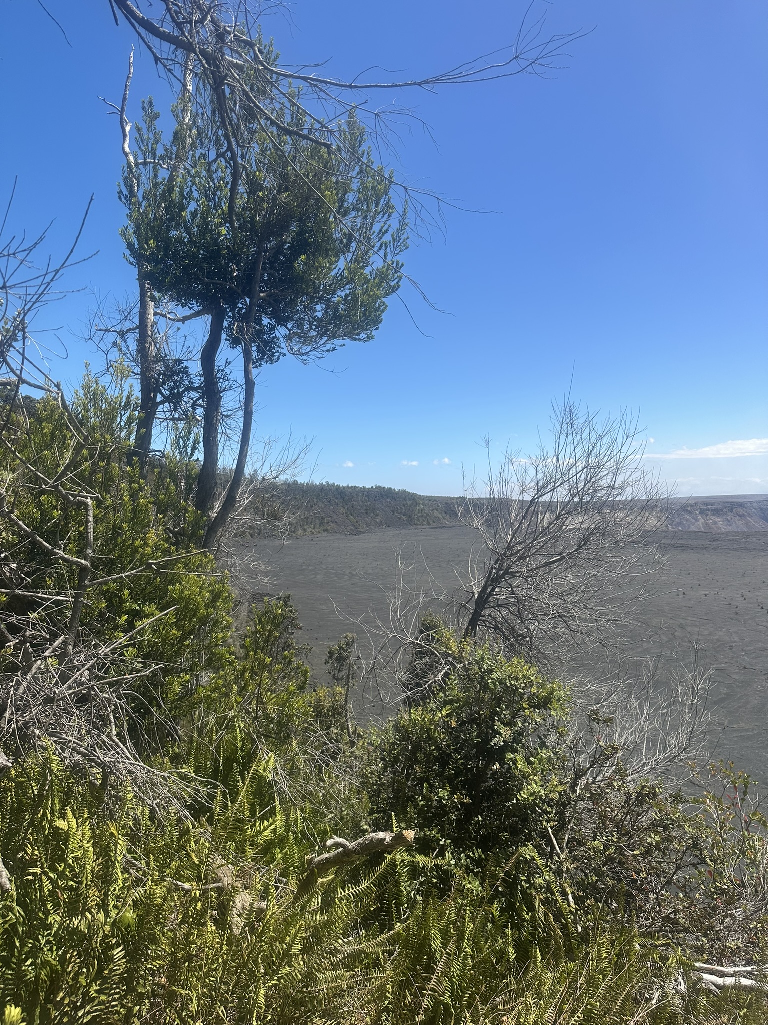 Hawaii - Kilauea Erupting - Image 893