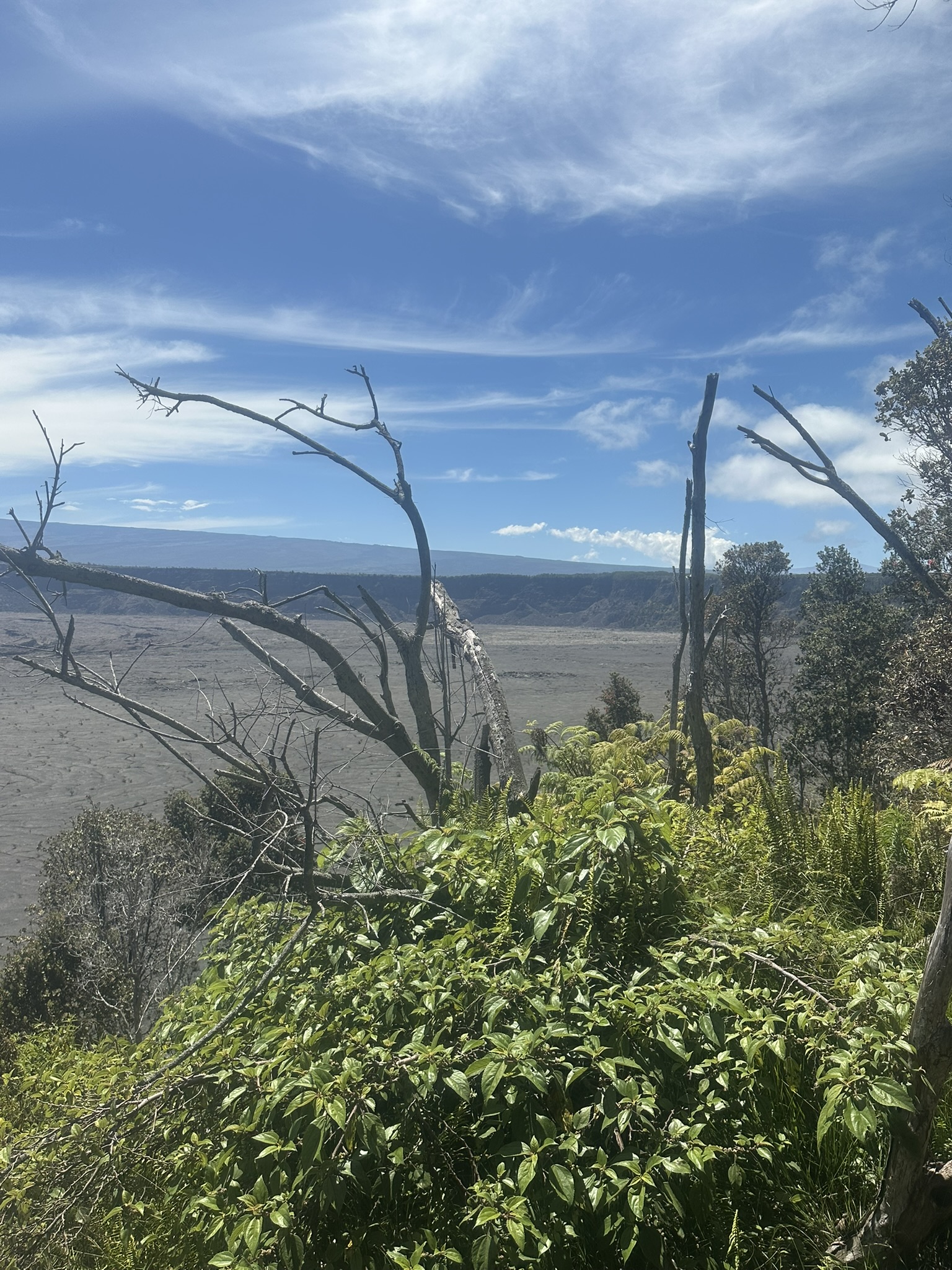 Hawaii - Kilauea Erupting - Image 896