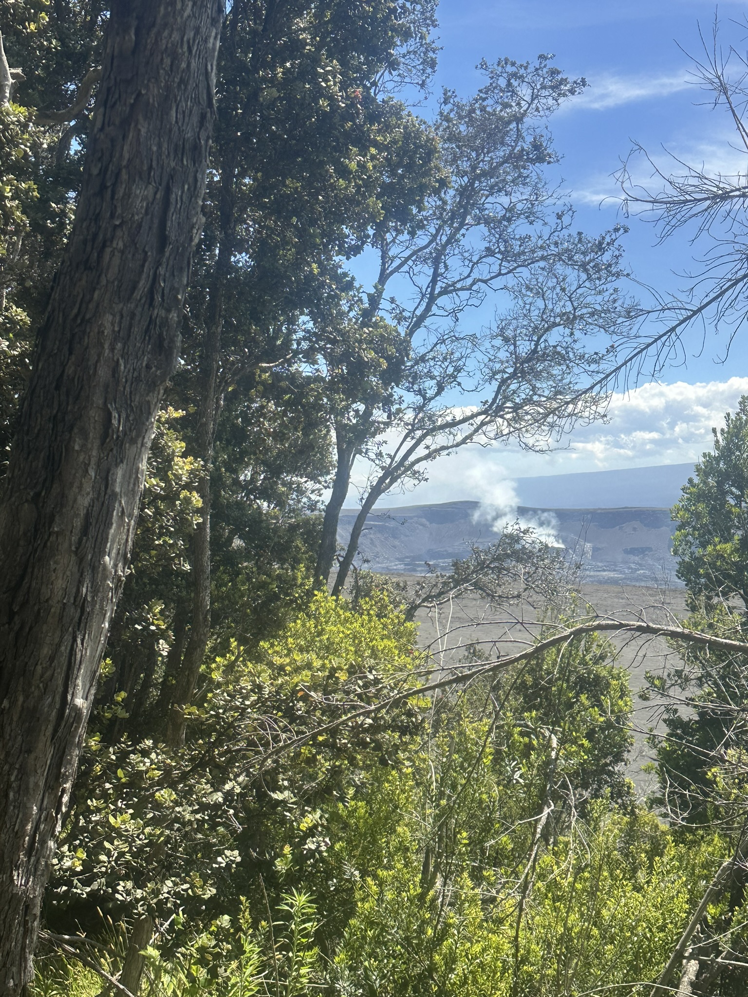 Hawaii - Kilauea Erupting - Image 909