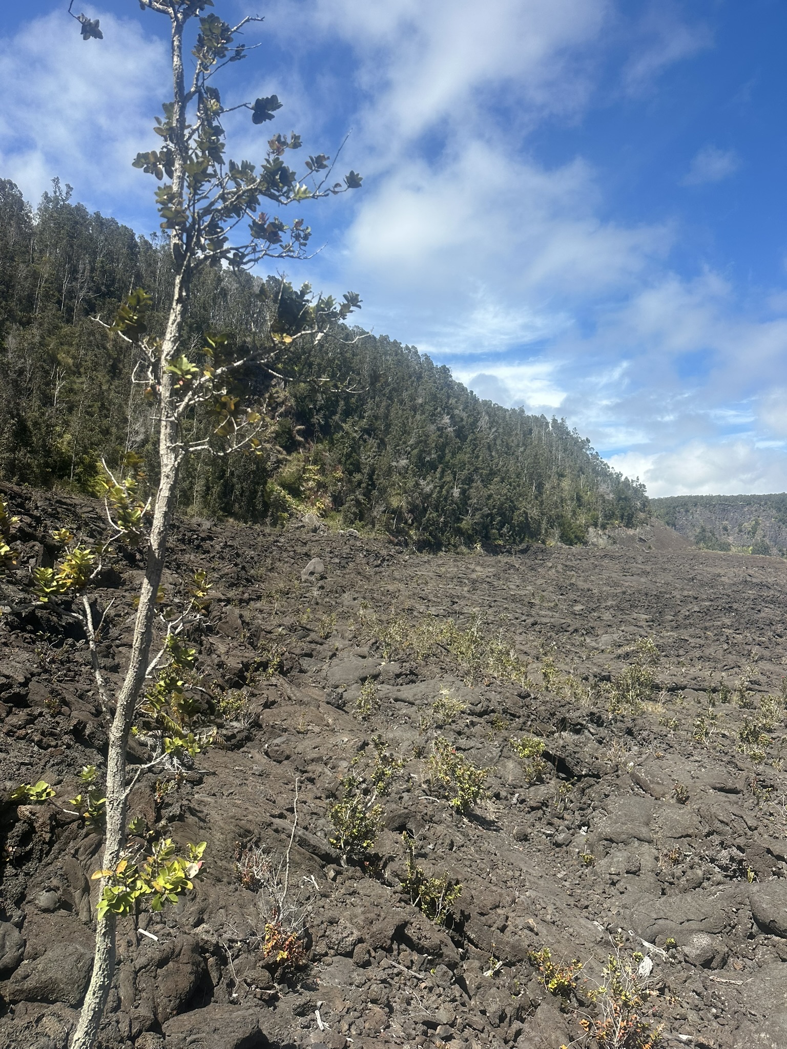 Hawaii - Kilauea Erupting - Image 931