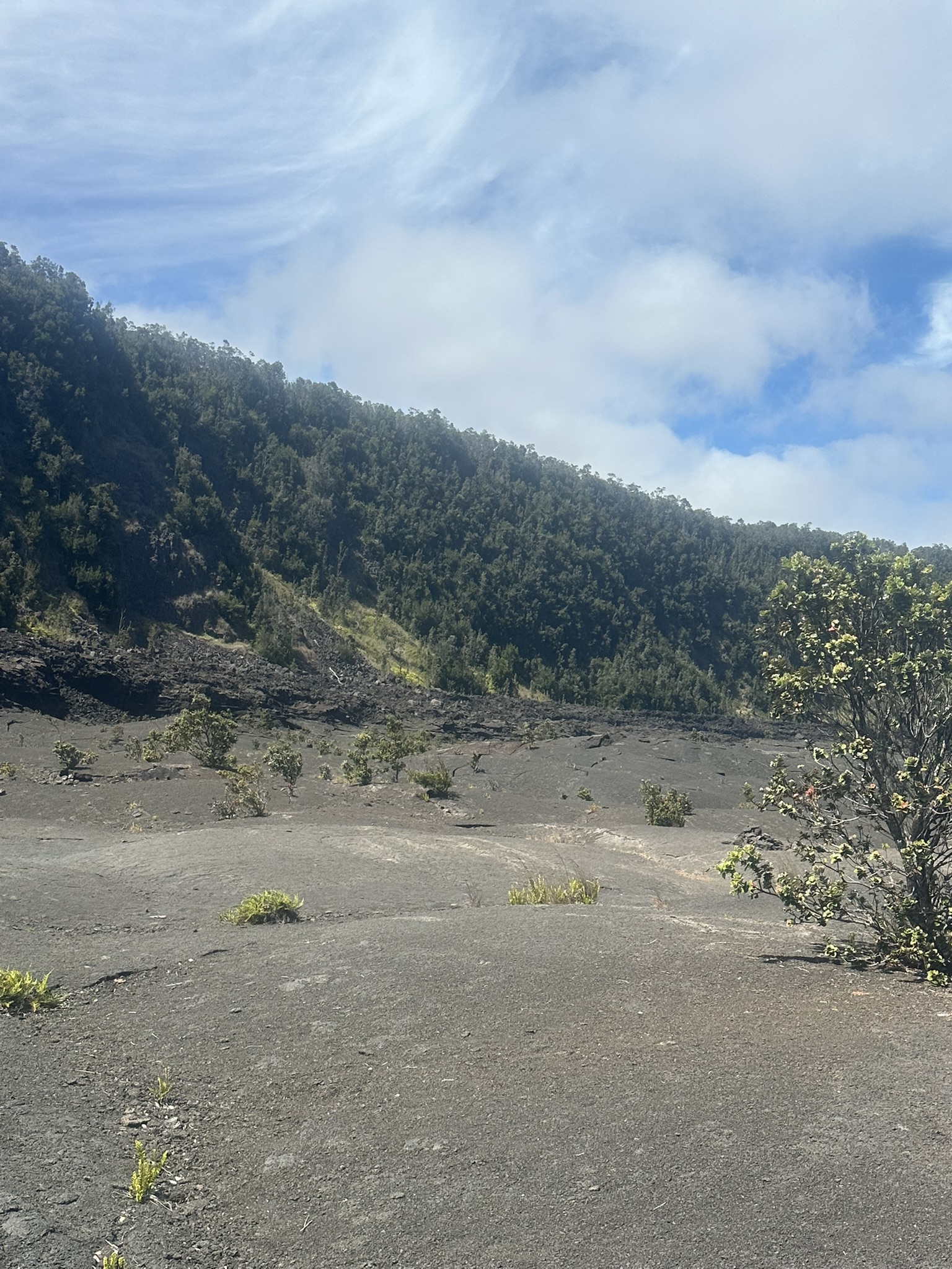 Hawaii - Kilauea Erupting - Image 966
