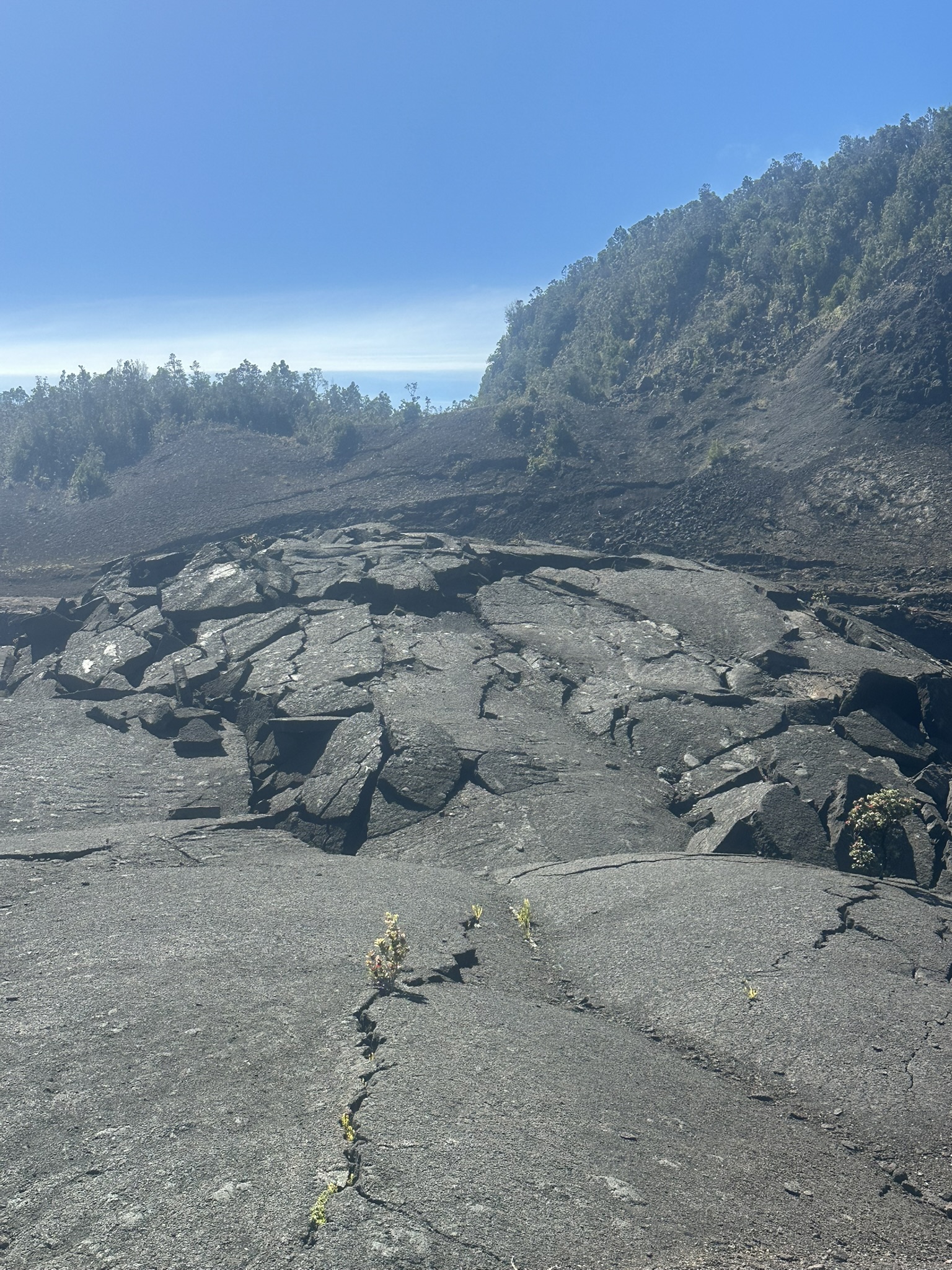 Hawaii - Kilauea Erupting - Image 985