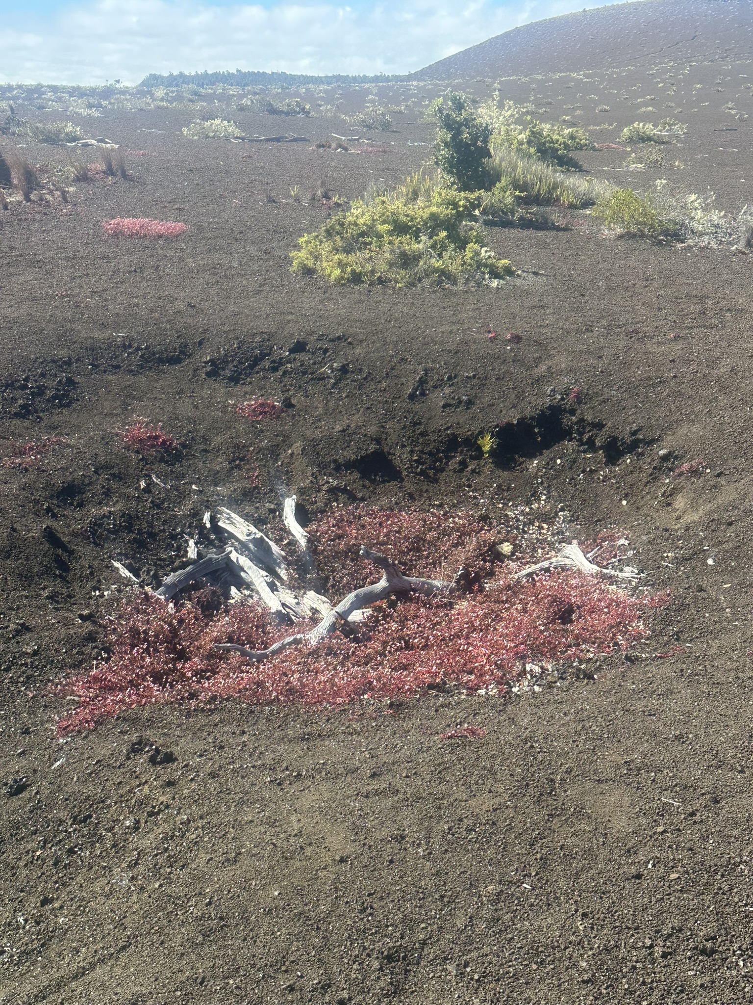 Hawaii - Kilauea Erupting - Image 994