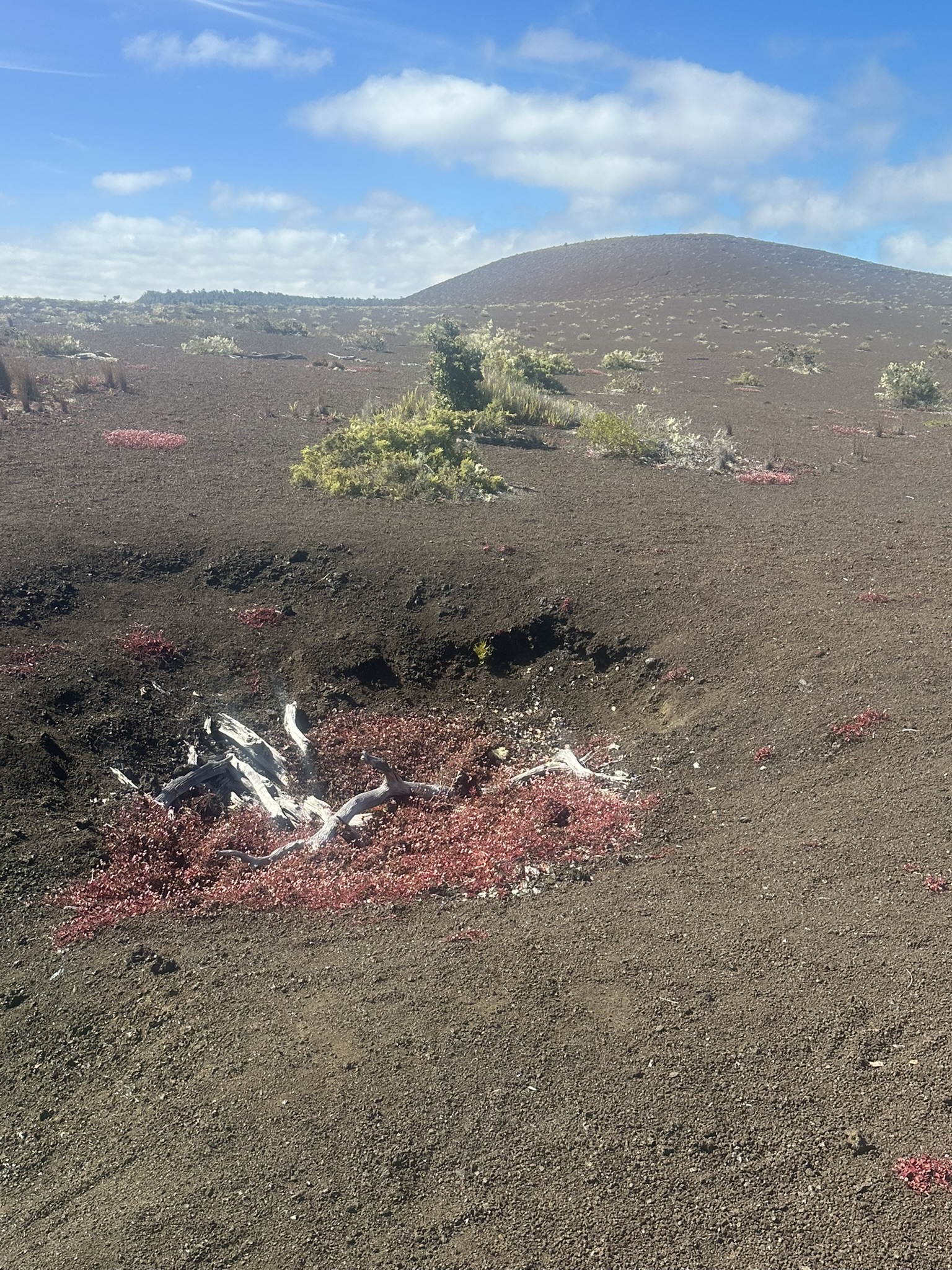 Hawaii - Kilauea Erupting - Image 996