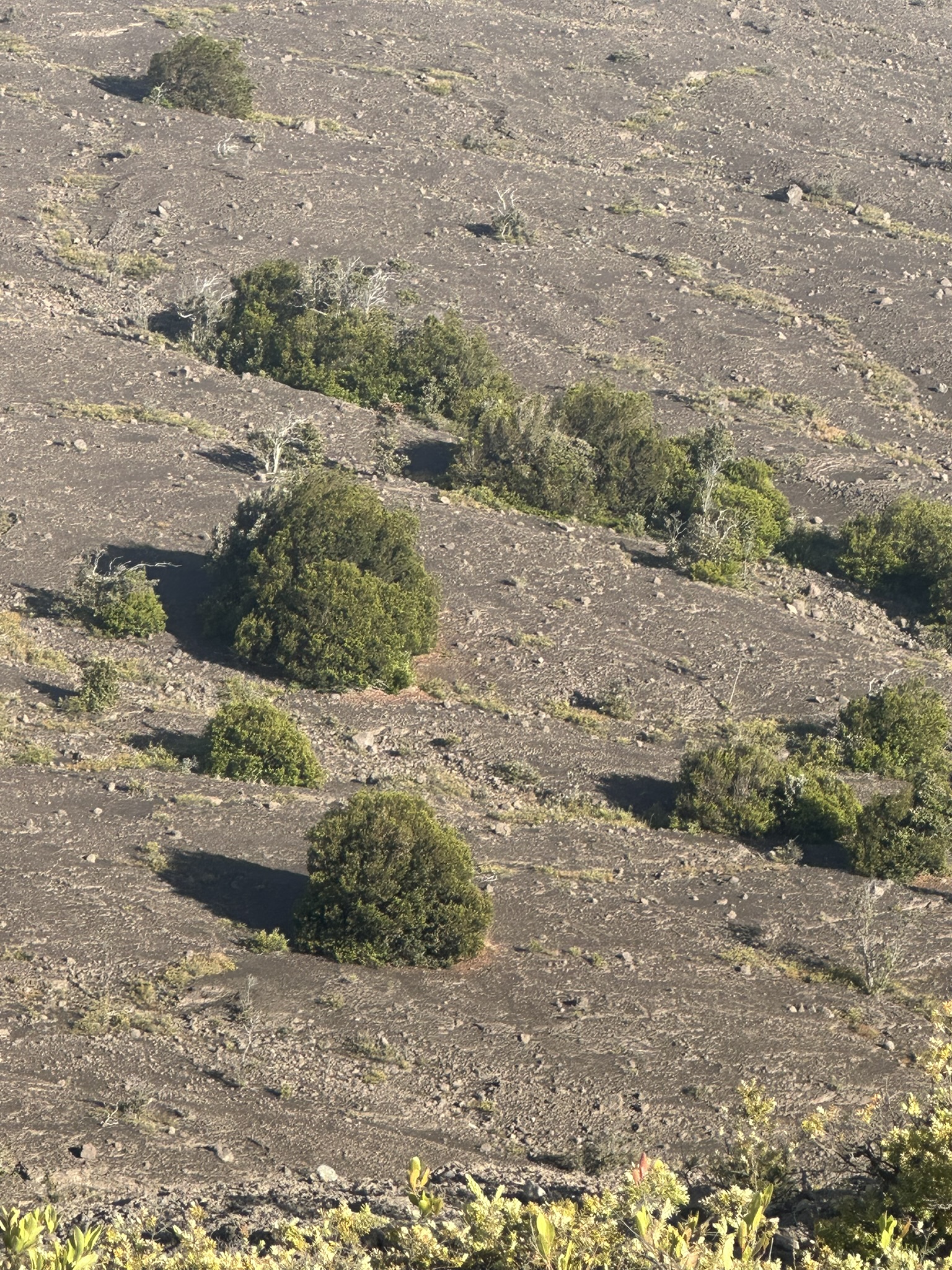 Hawaii - Kilauea Erupting - Image 1024