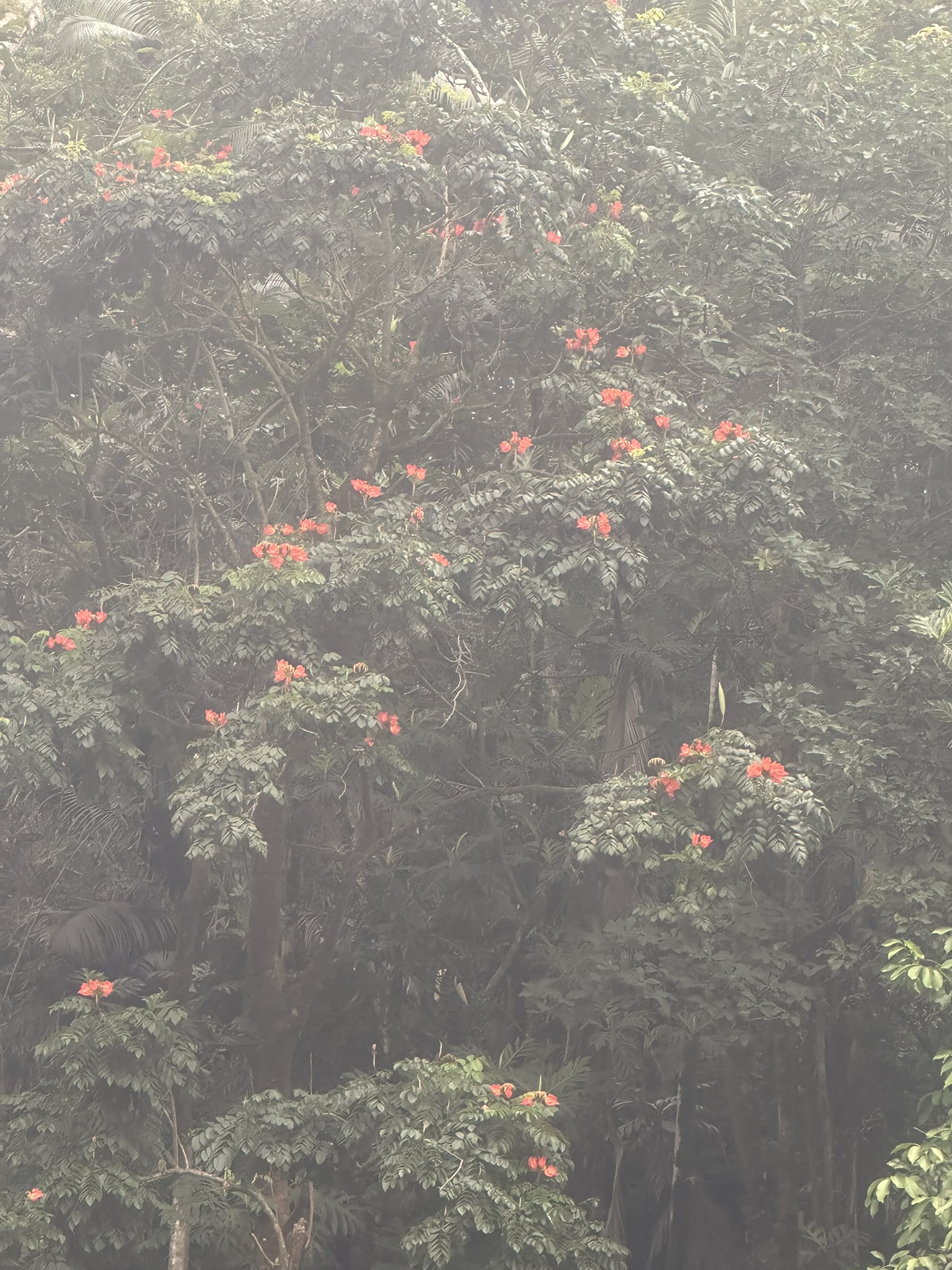 Hawaii - Kilauea Erupting - Image 1080