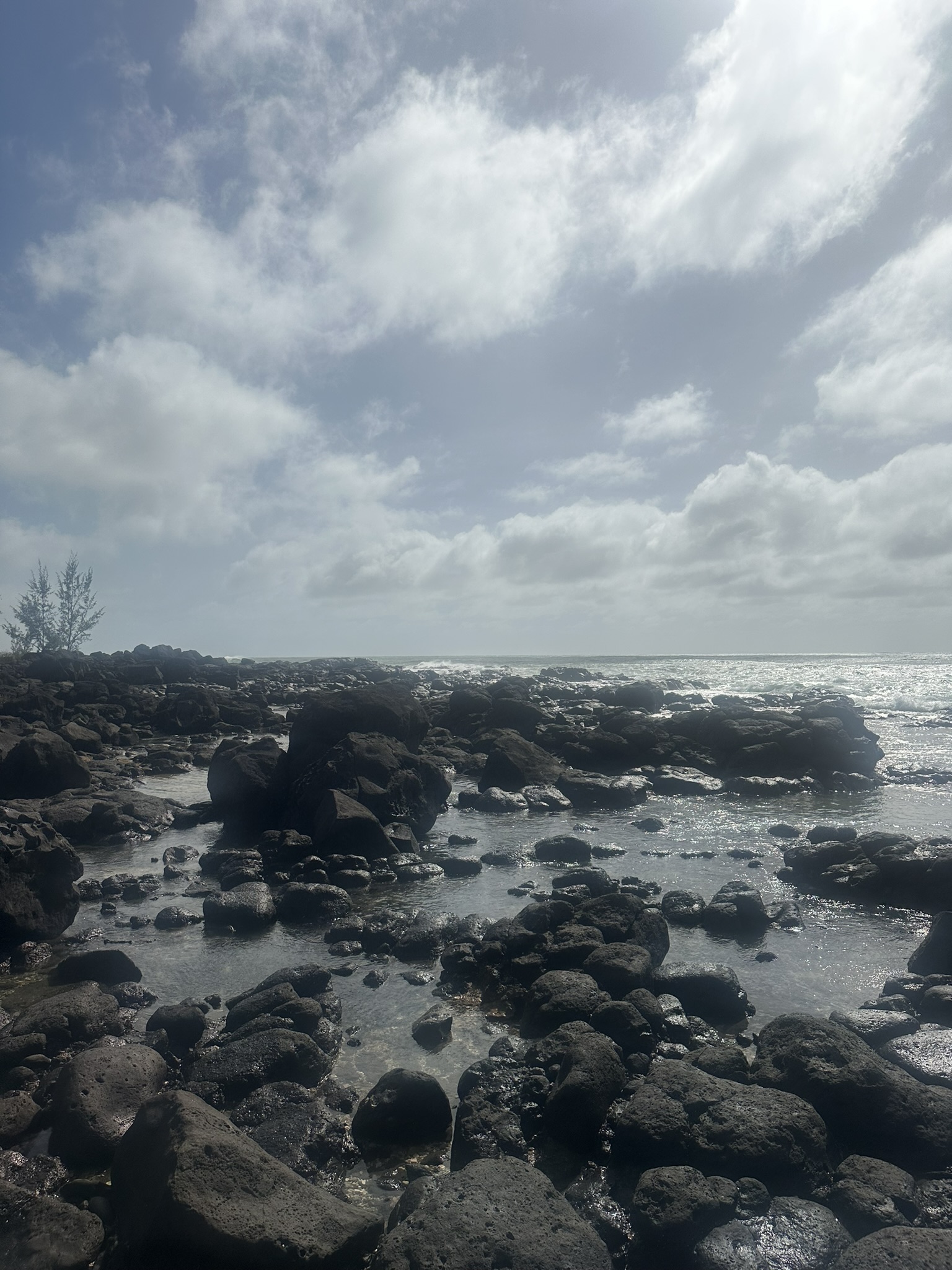 Mauritius - Image 41