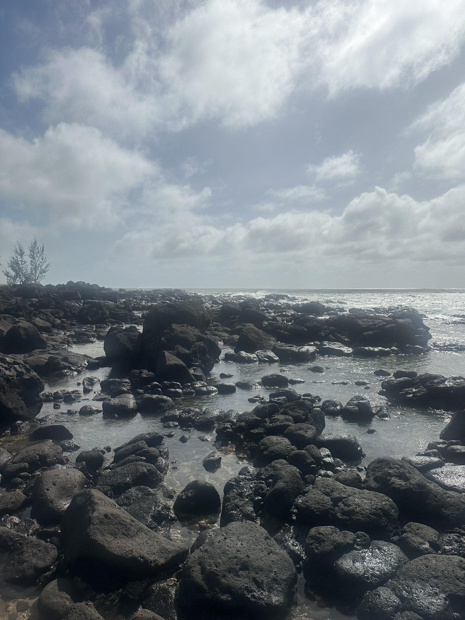 Mauritius - Image 42