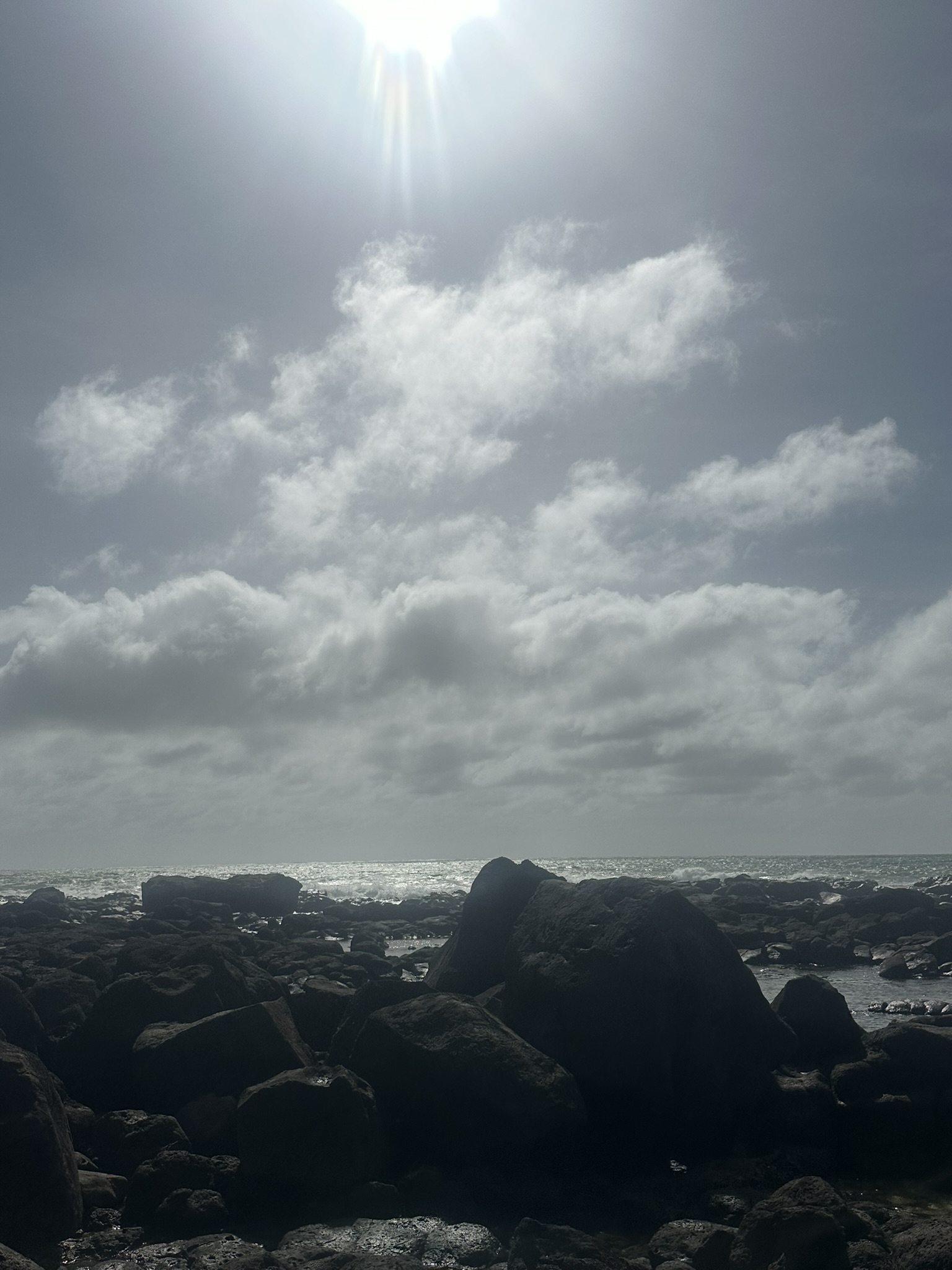 Mauritius - Image 53