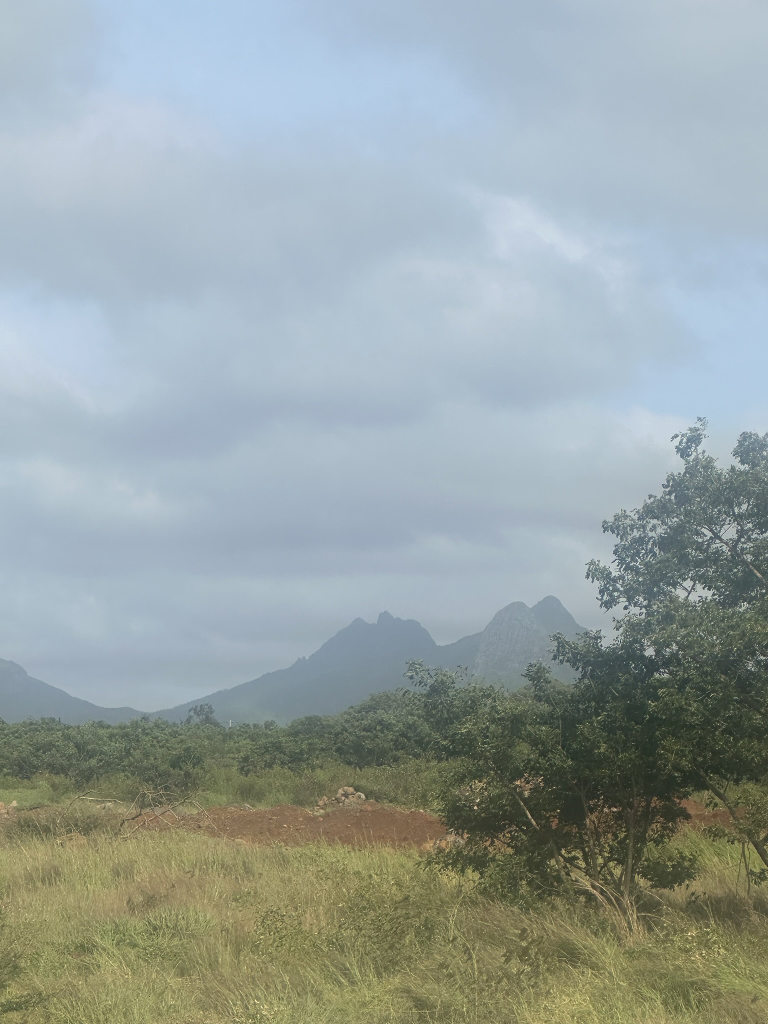 Mauritius - Image 71