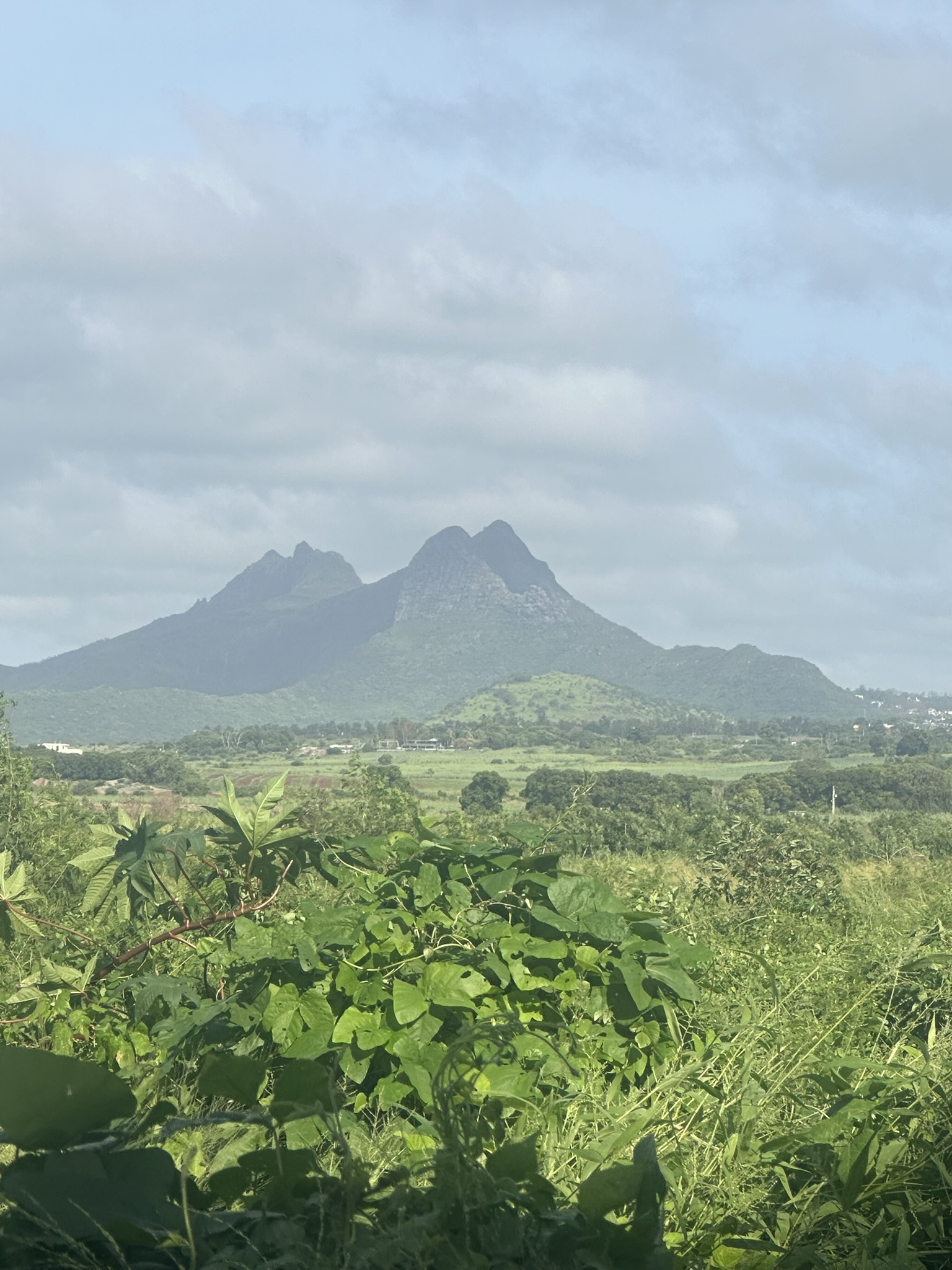 Mauritius - Image 73