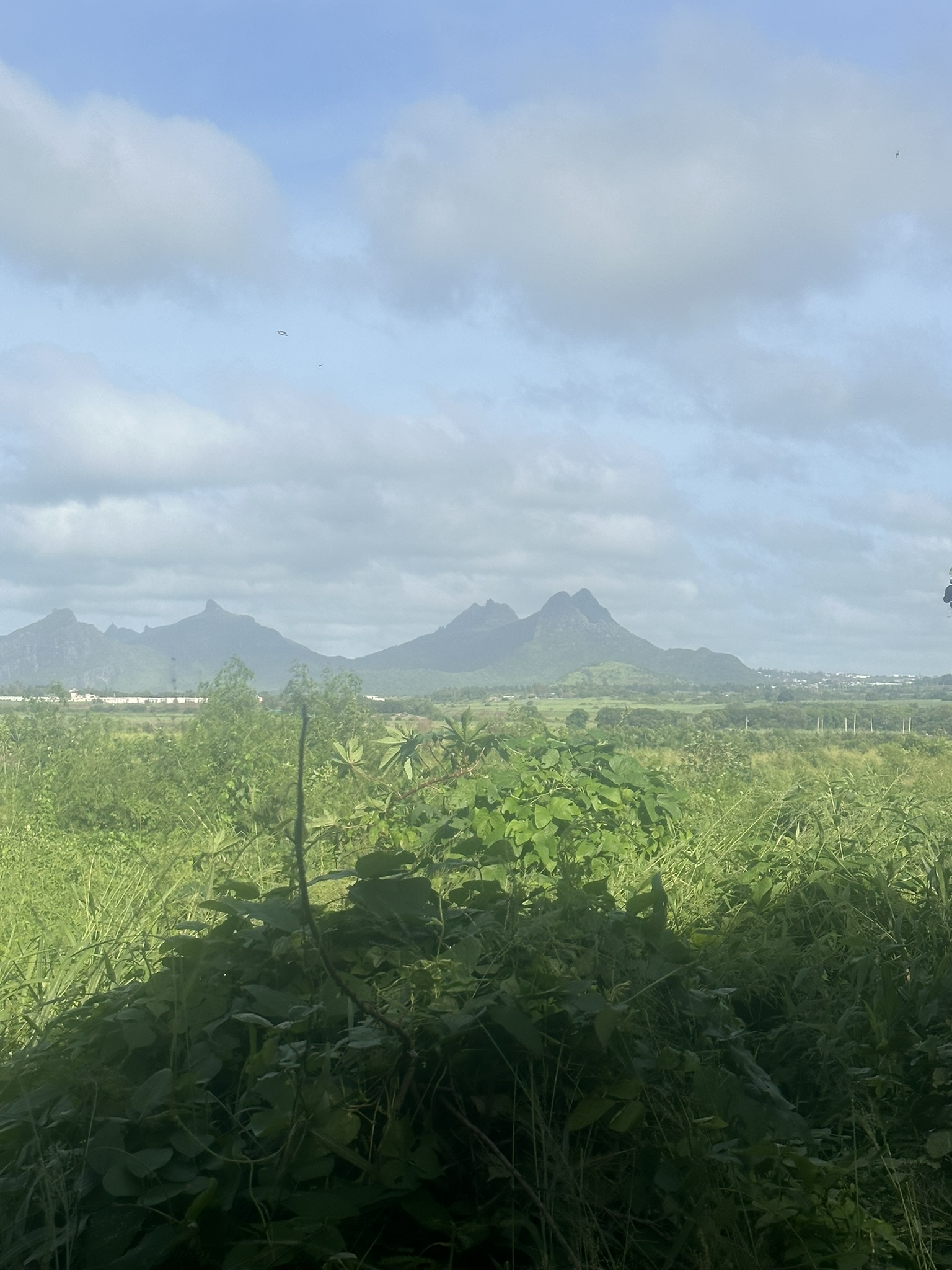 Mauritius - Image 74
