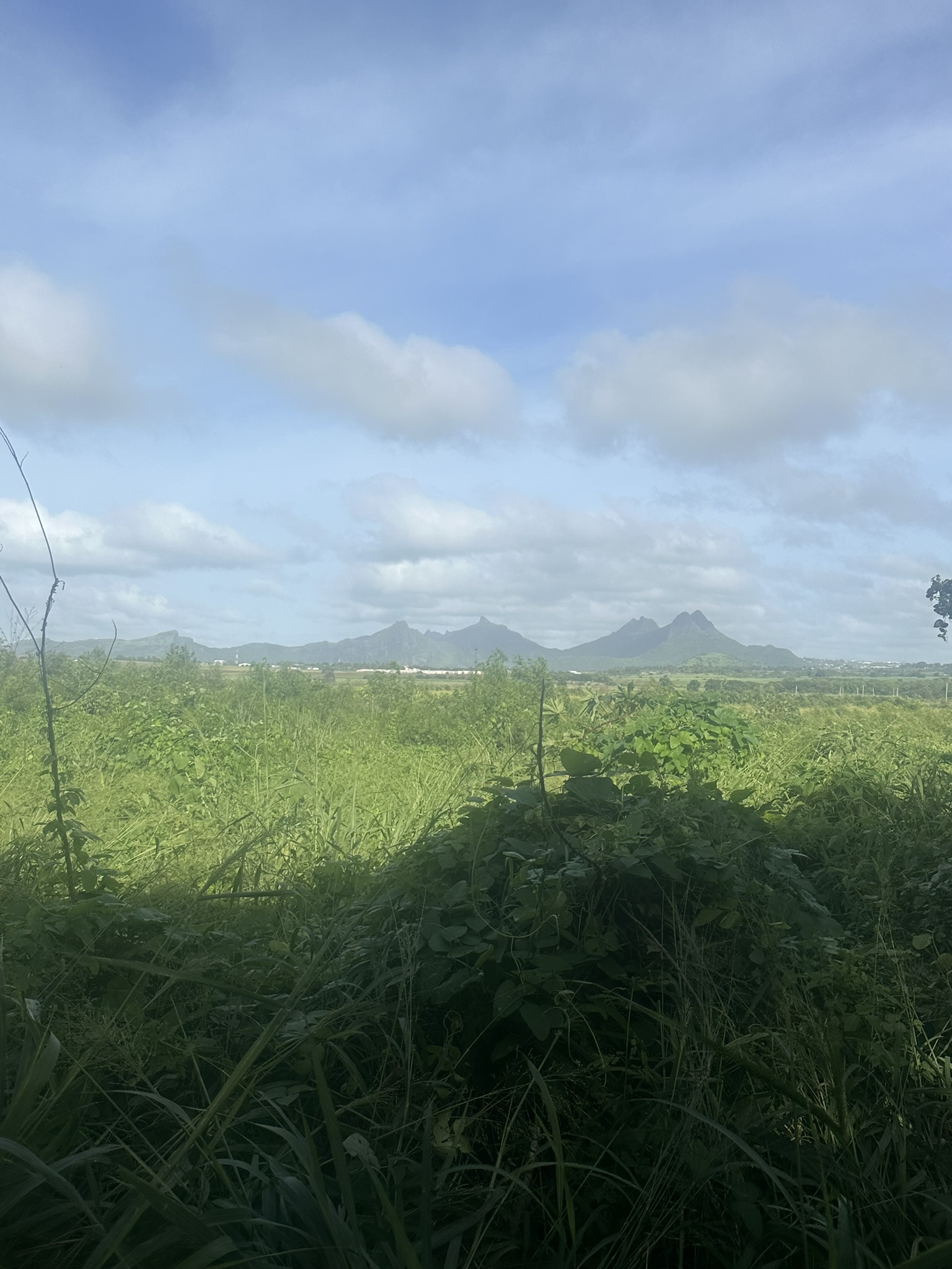 Mauritius - Image 75