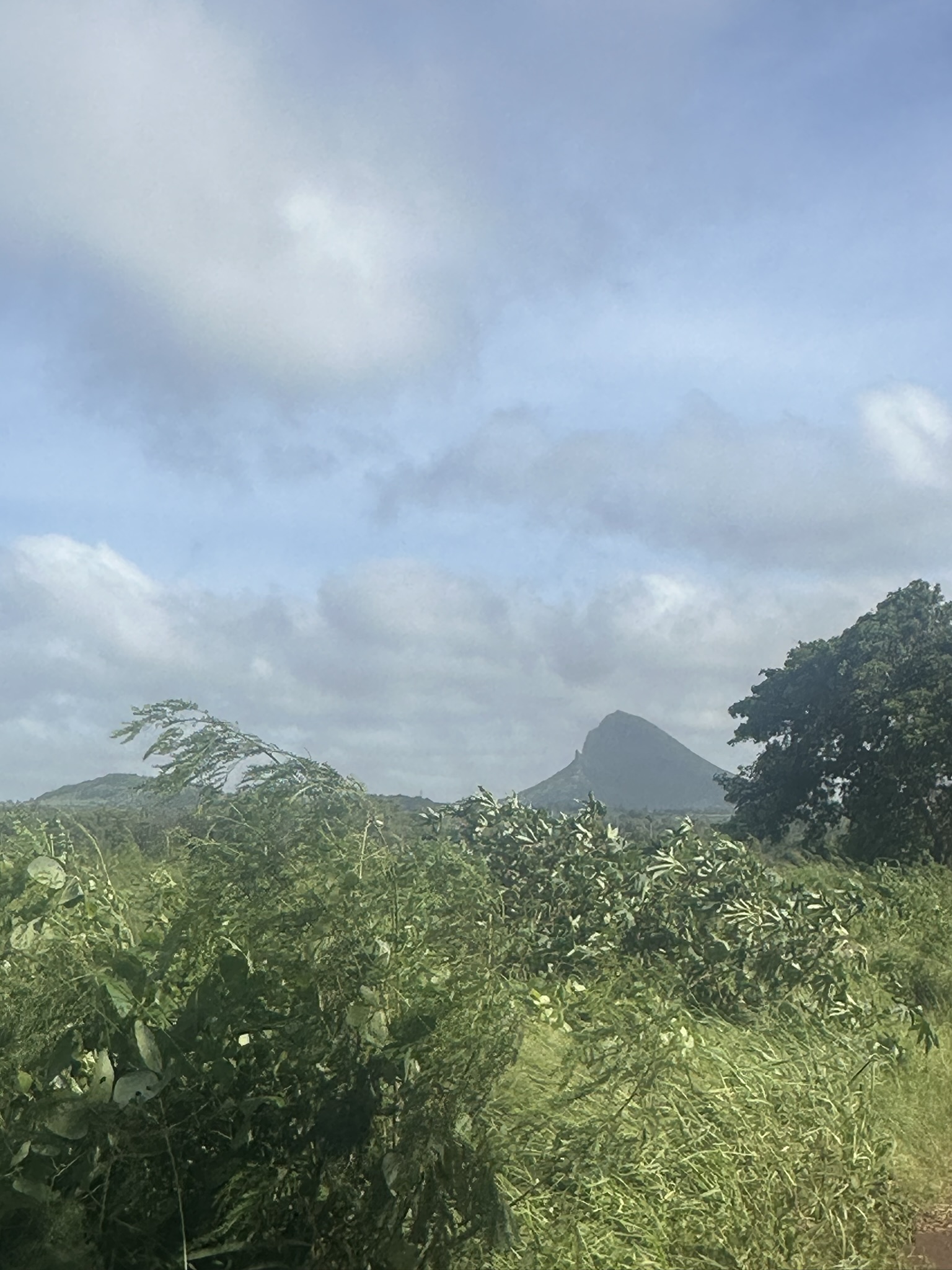 Mauritius - Image 76