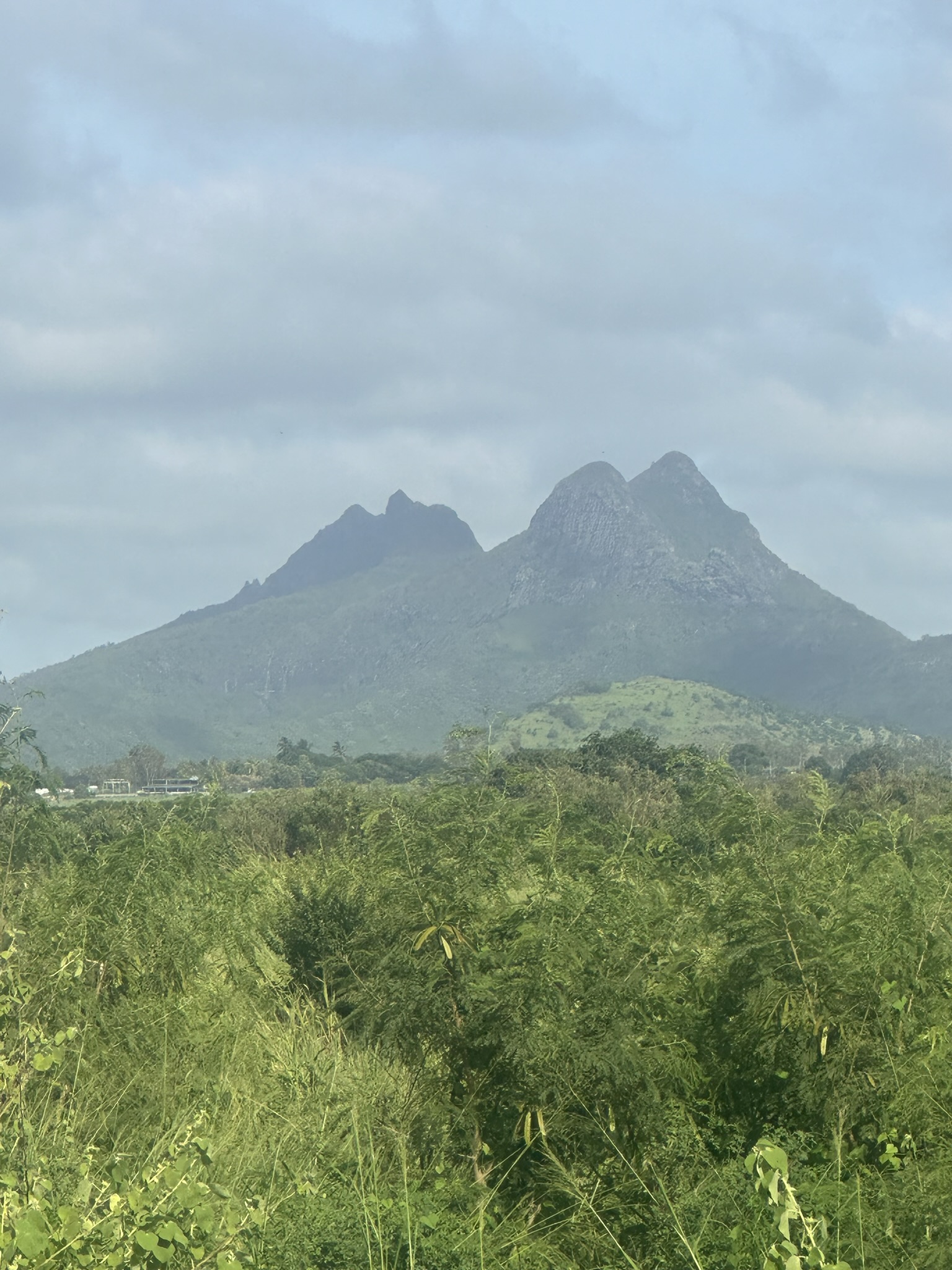 Mauritius - Image 78