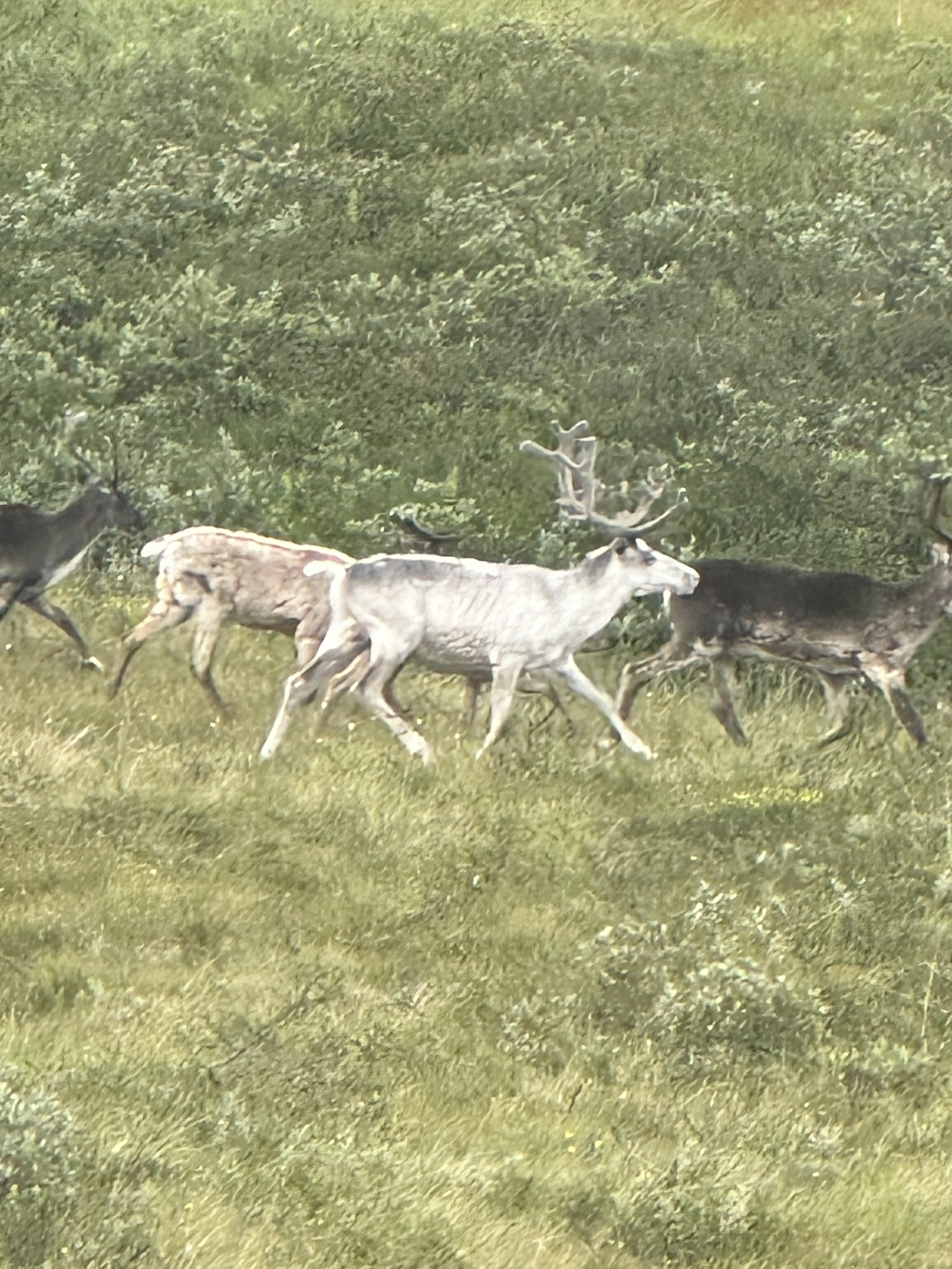 Norway-Sweden-Finland-Denmark - Image 45