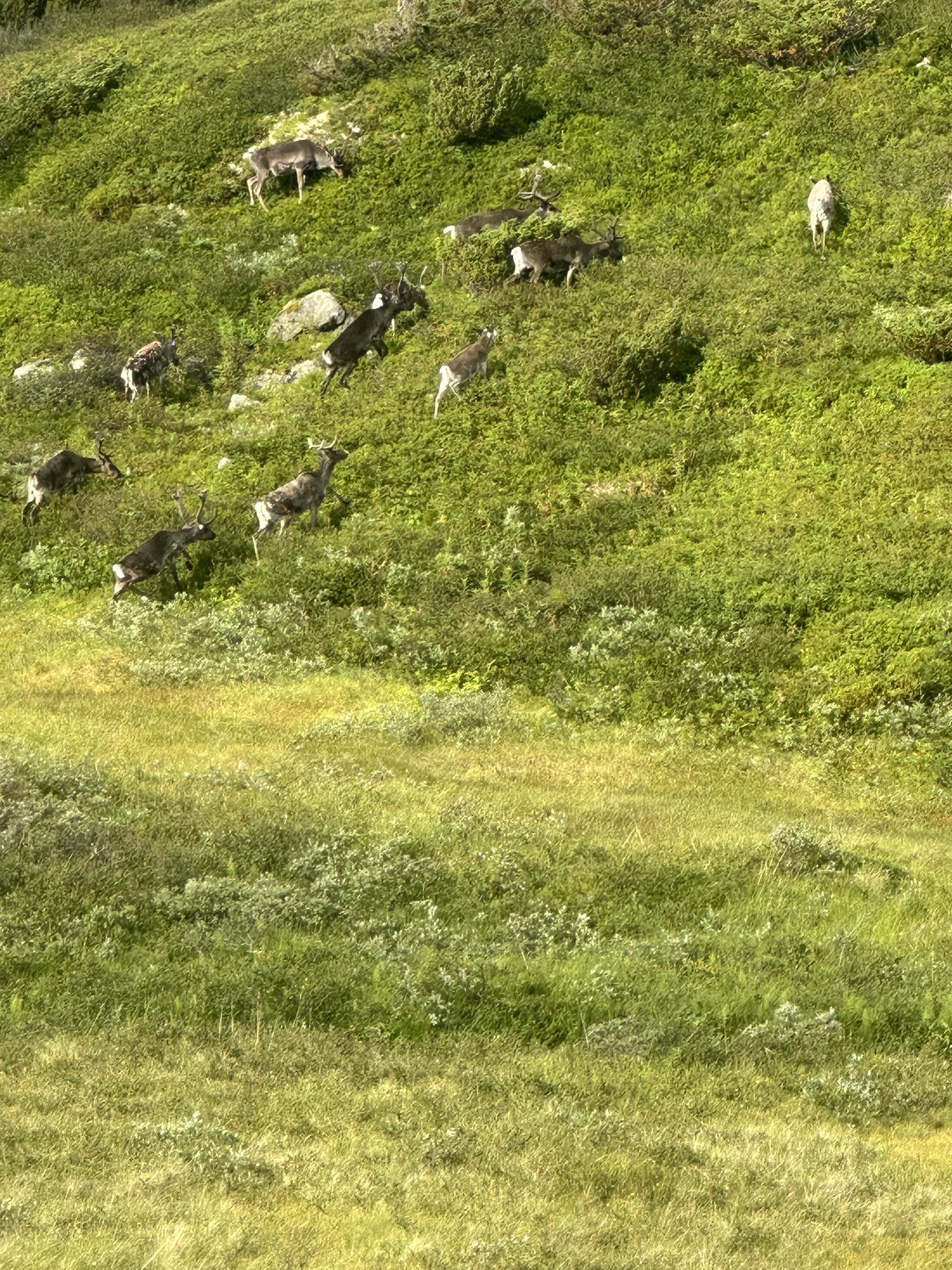 Norway-Sweden-Finland-Denmark - Image 47