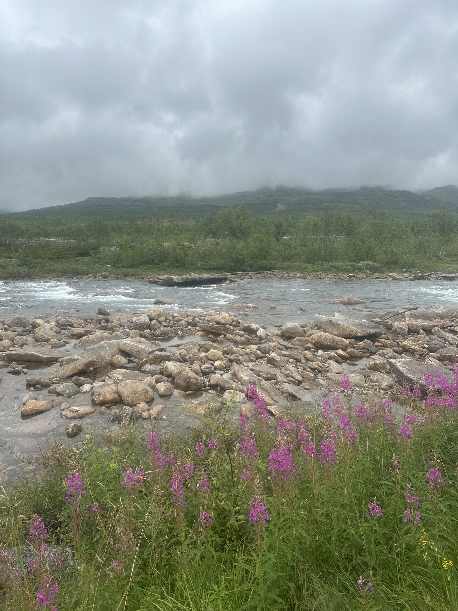 Norway-Sweden-Finland-Denmark - Image 237