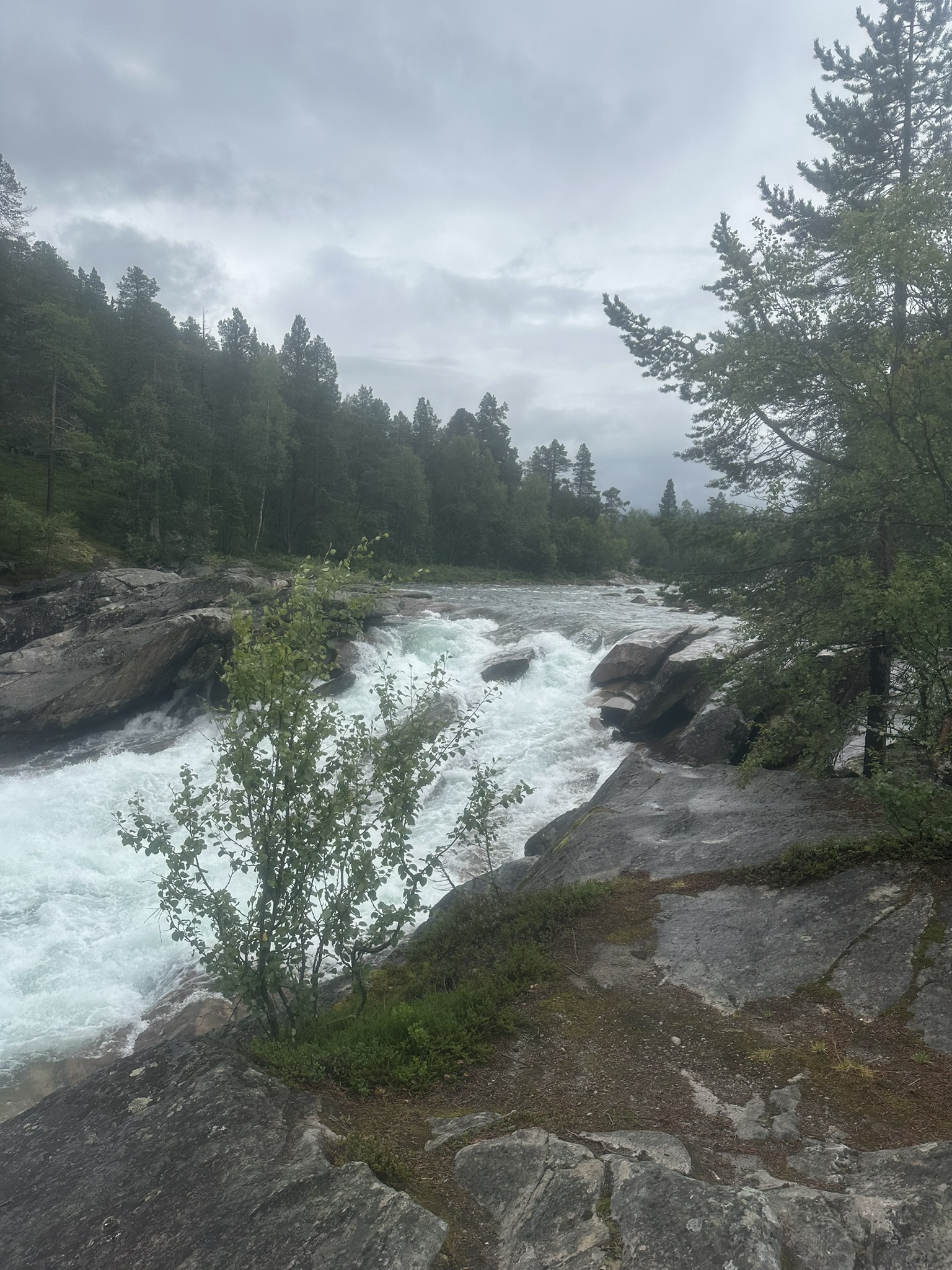 Norway-Sweden-Finland-Denmark - Image 246