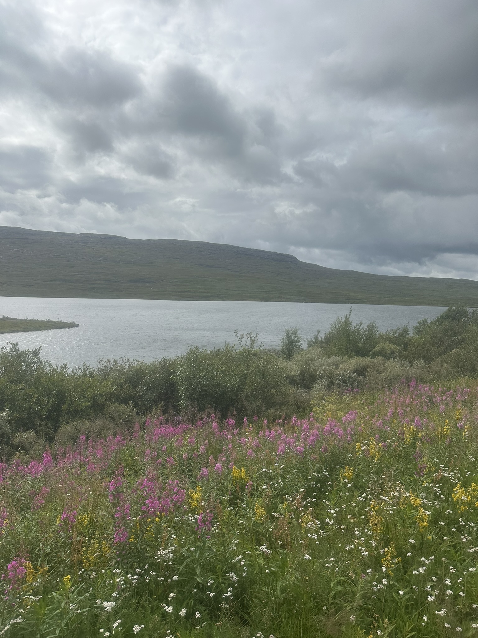 Norway-Sweden-Finland-Denmark - Image 258