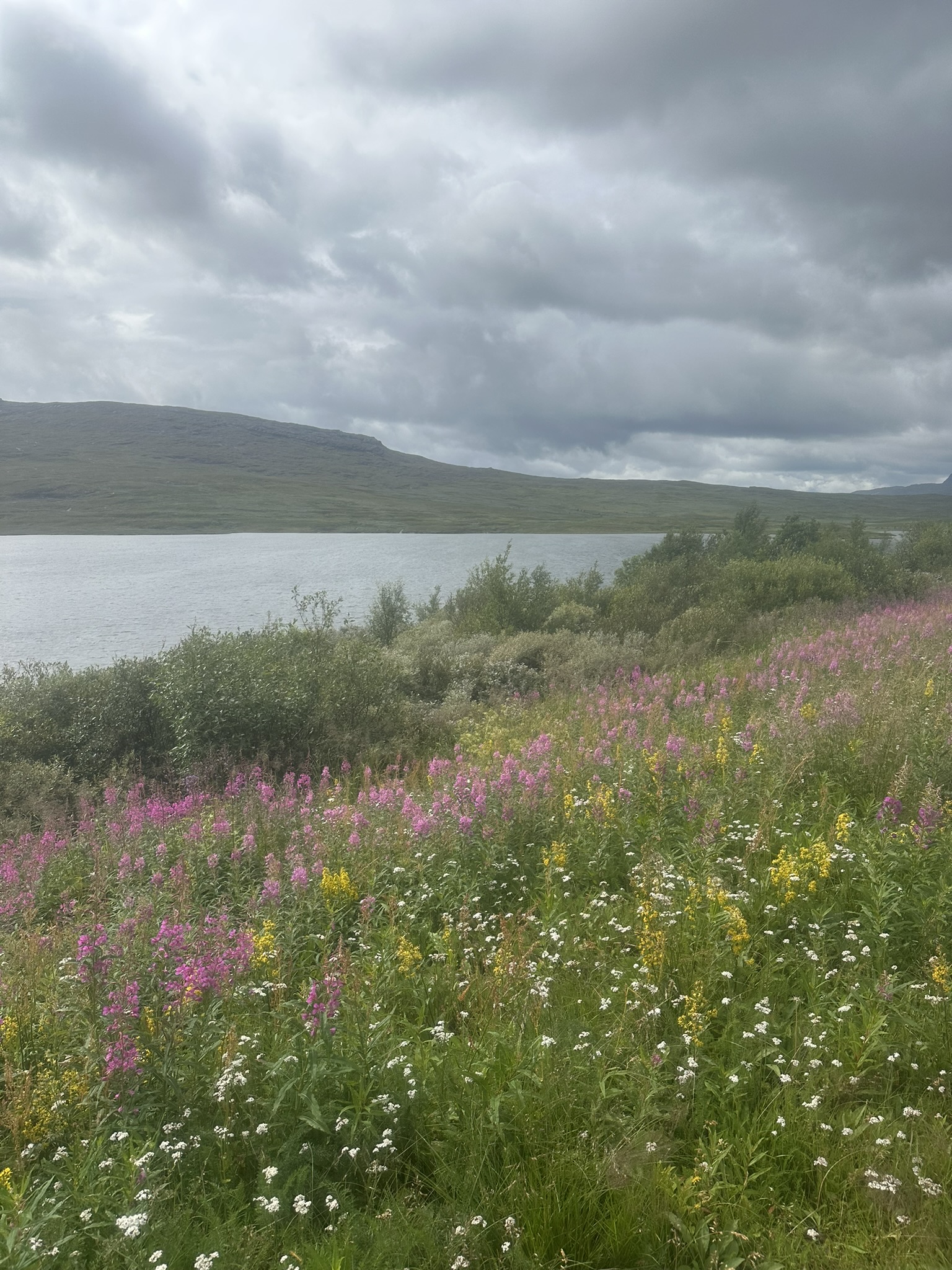 Norway-Sweden-Finland-Denmark - Image 259