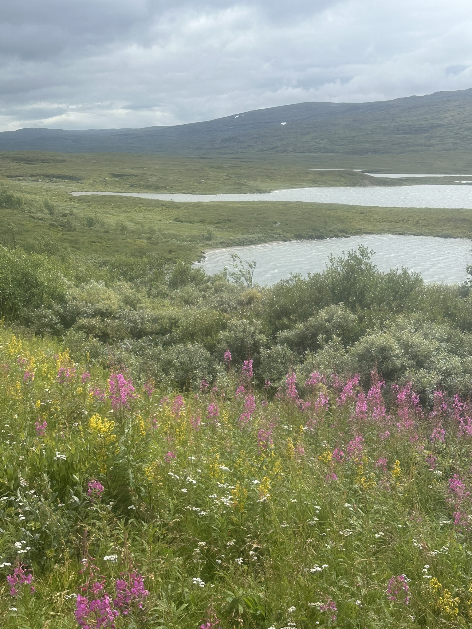 Norway-Sweden-Finland-Denmark - Image 260