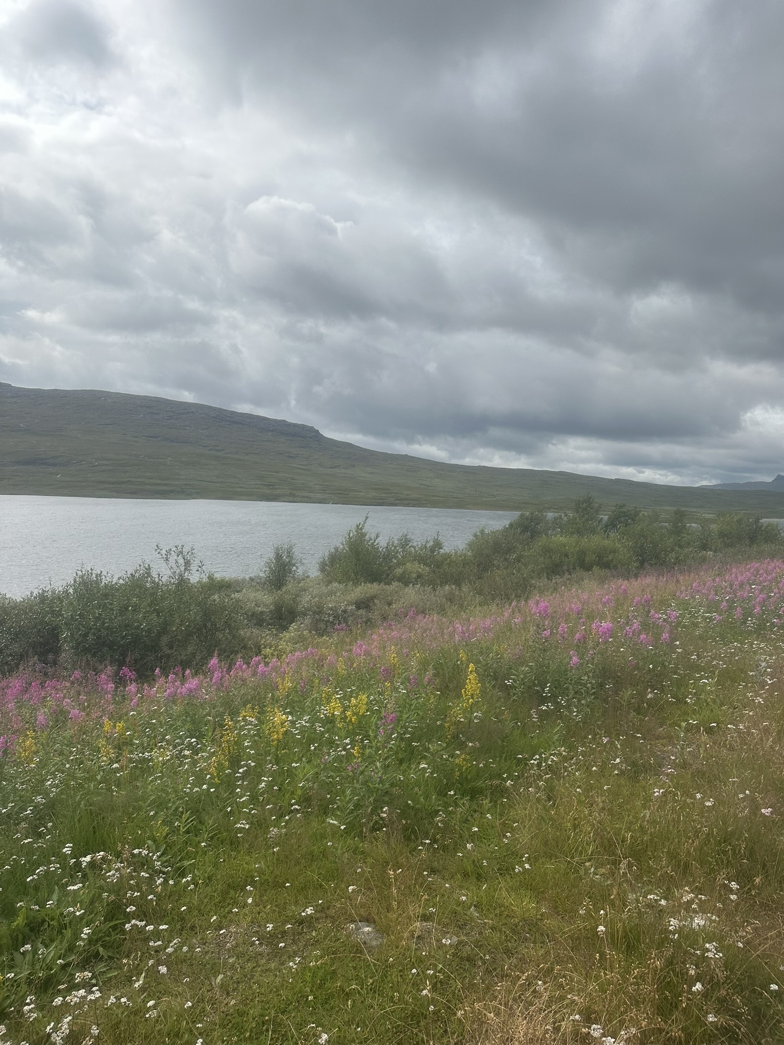 Norway-Sweden-Finland-Denmark - Image 262