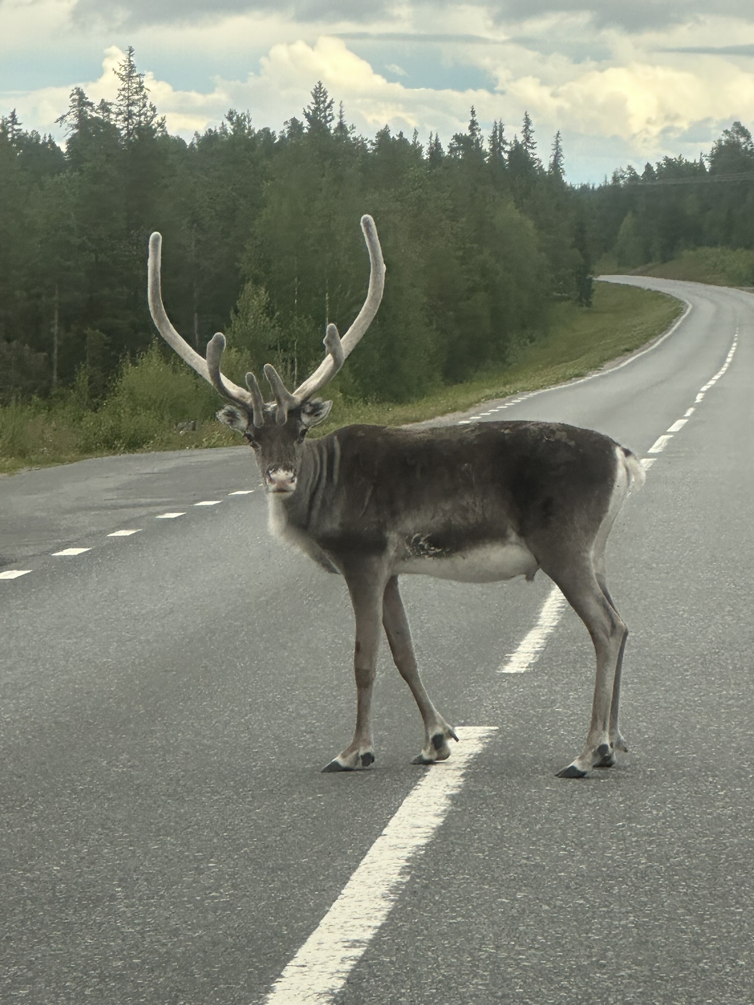 Norway-Sweden-Finland-Denmark - Image 268