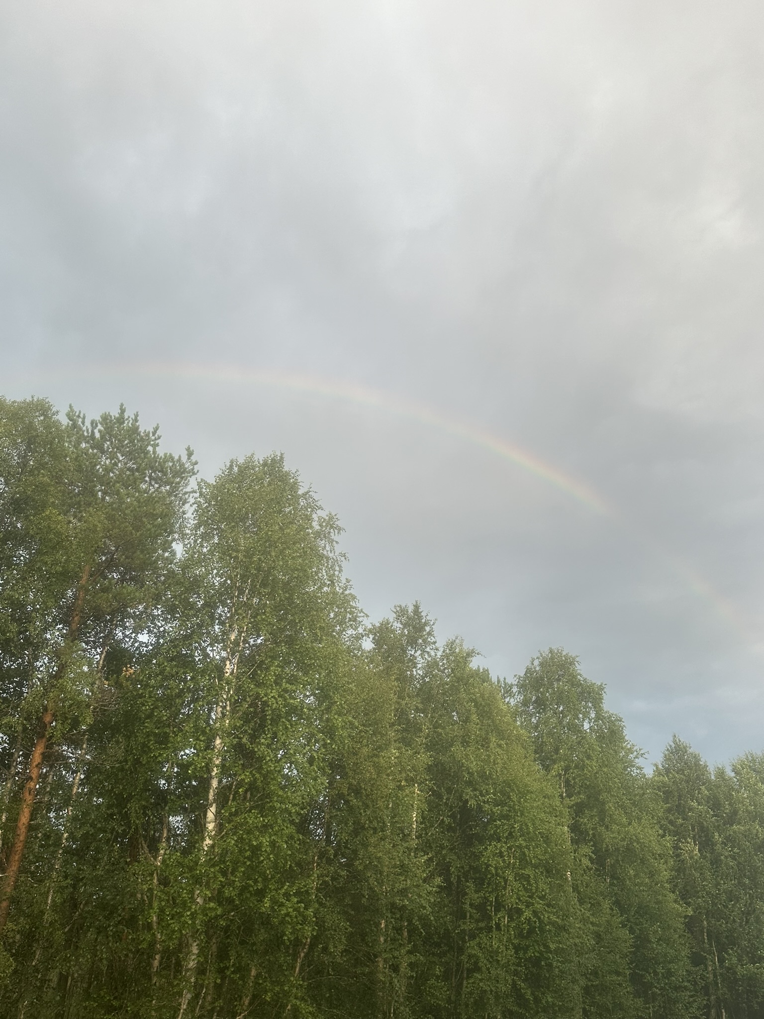 Norway-Sweden-Finland-Denmark - Image 272