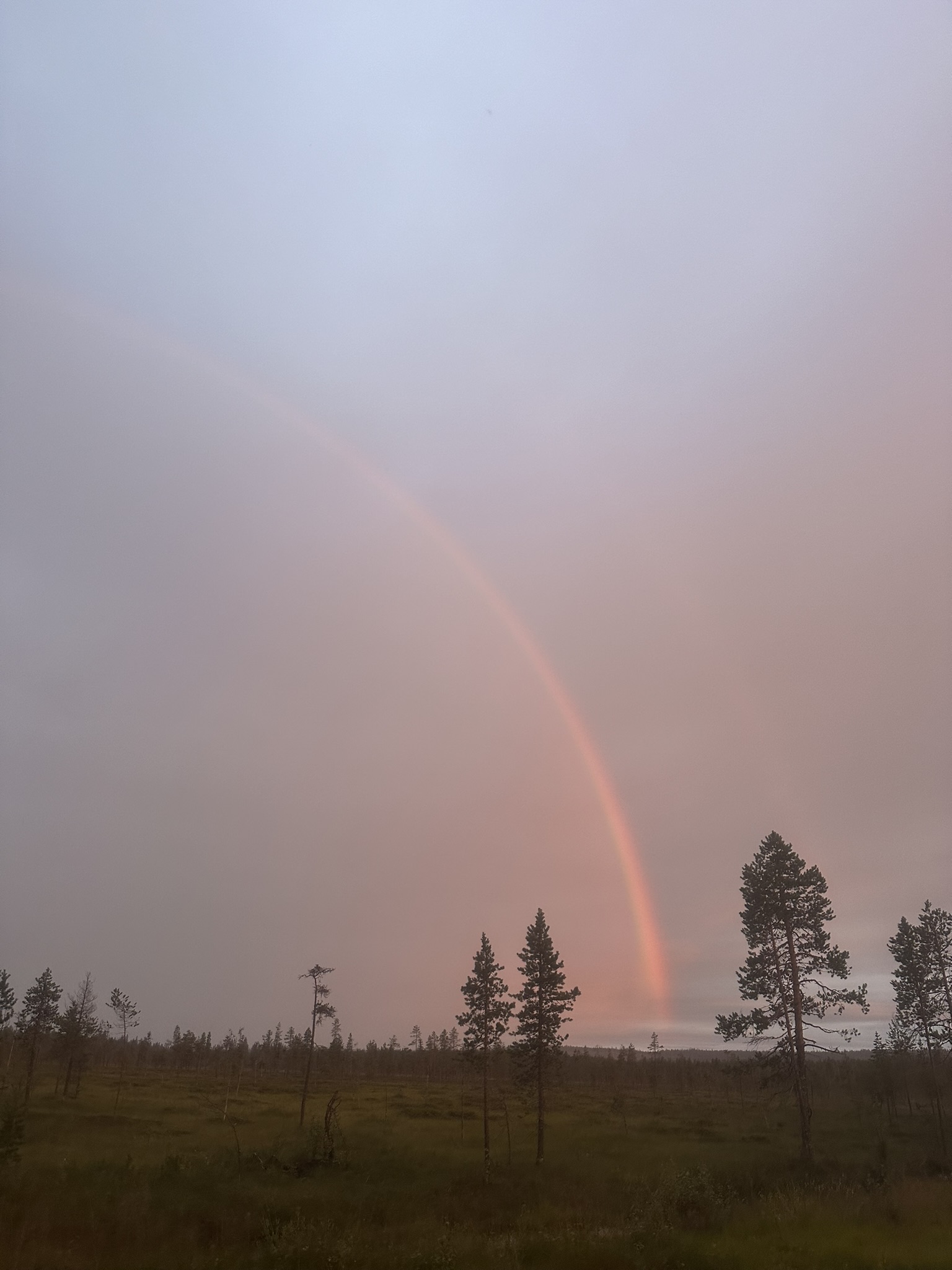 Norway-Sweden-Finland-Denmark - Image 301