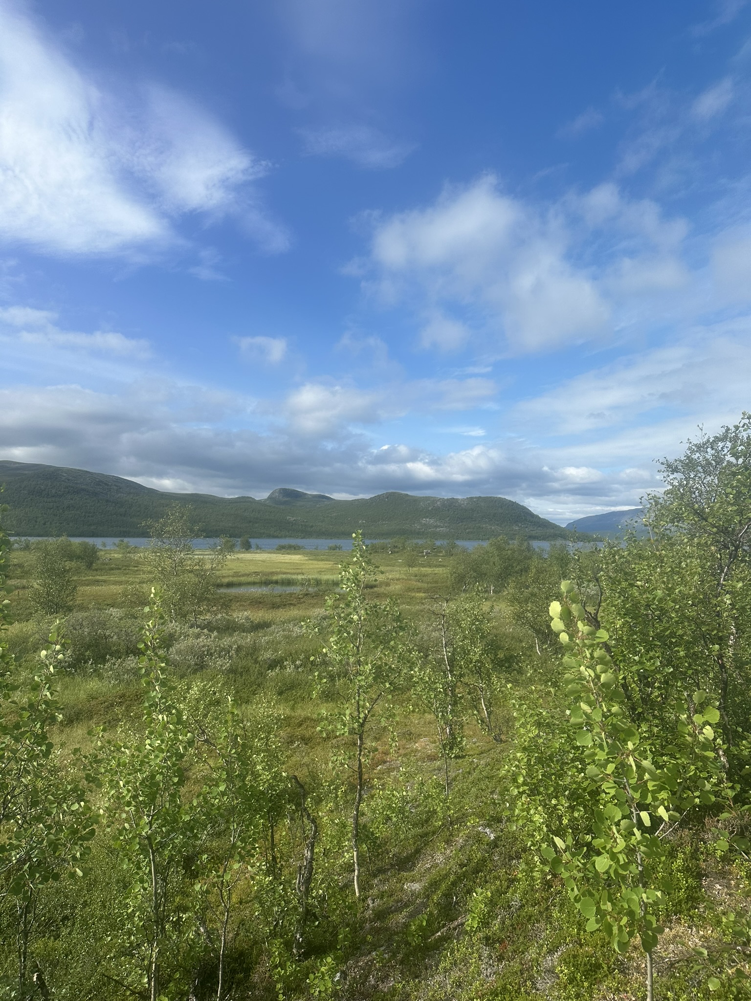 Norway-Sweden-Finland-Denmark - Image 310