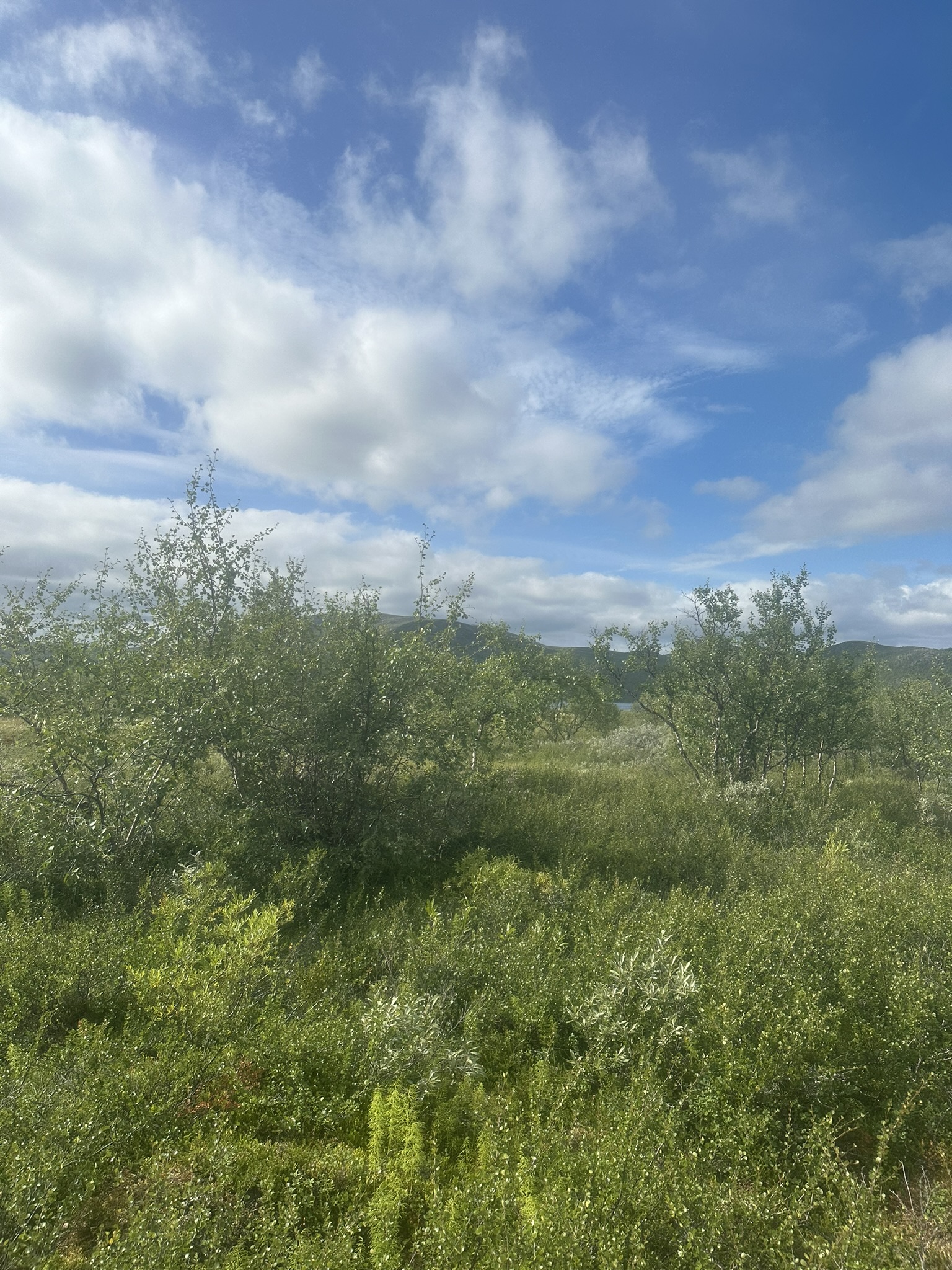 Norway-Sweden-Finland-Denmark - Image 314