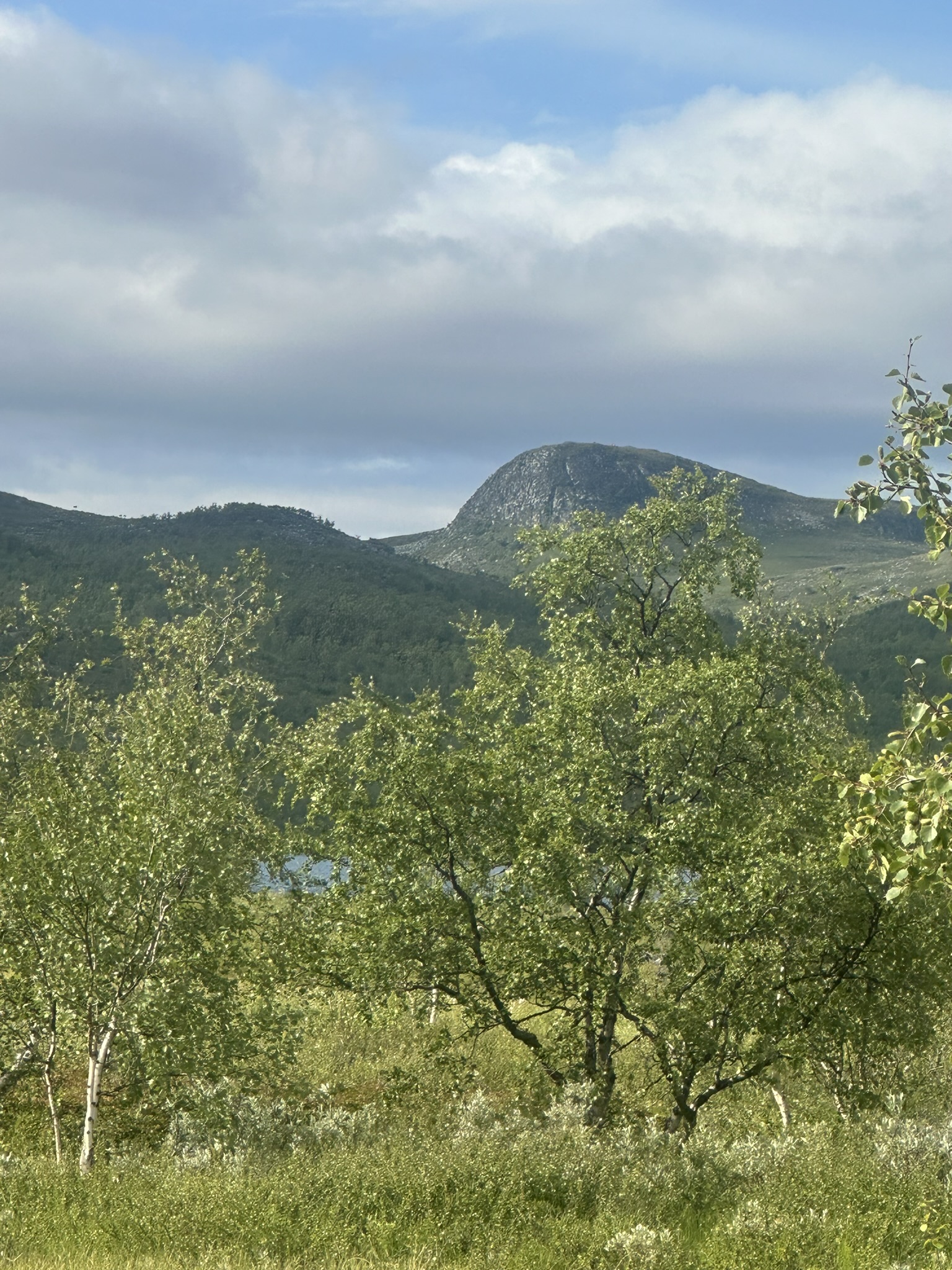 Norway-Sweden-Finland-Denmark - Image 315