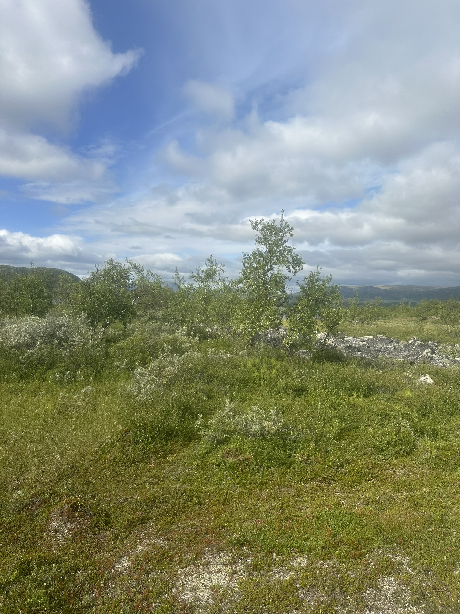 Norway-Sweden-Finland-Denmark - Image 316