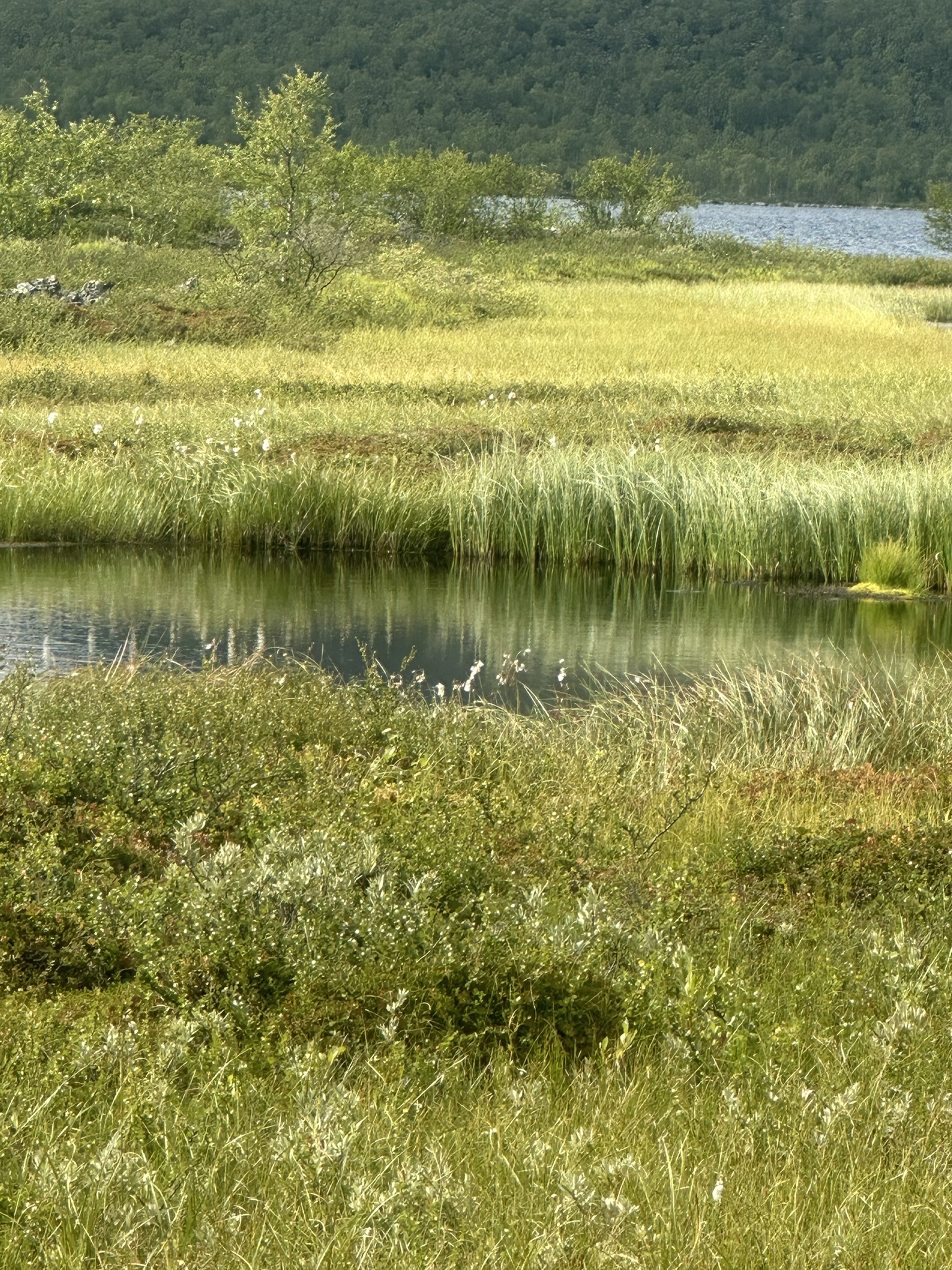 Norway-Sweden-Finland-Denmark - Image 317