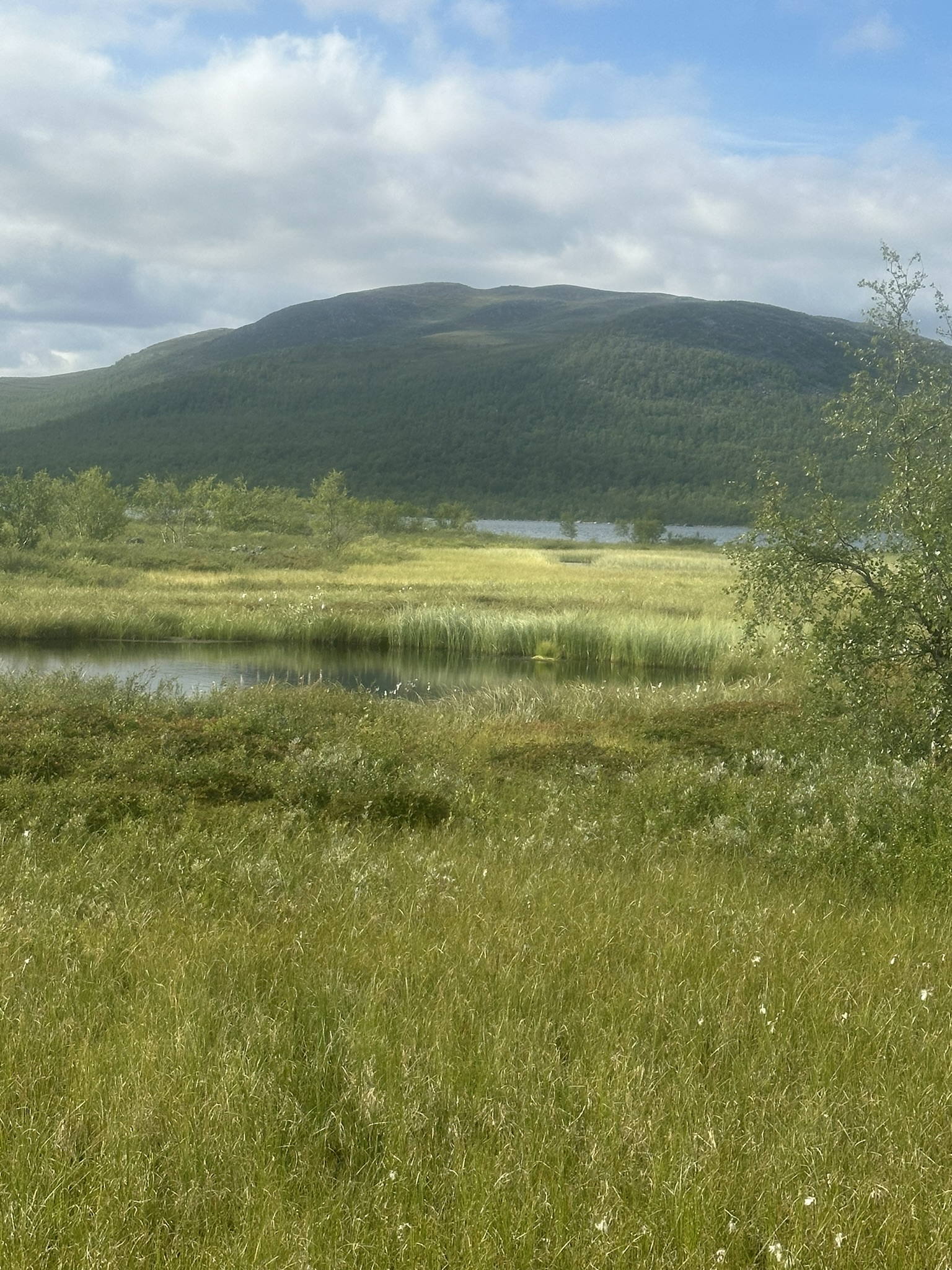 Norway-Sweden-Finland-Denmark - Image 318