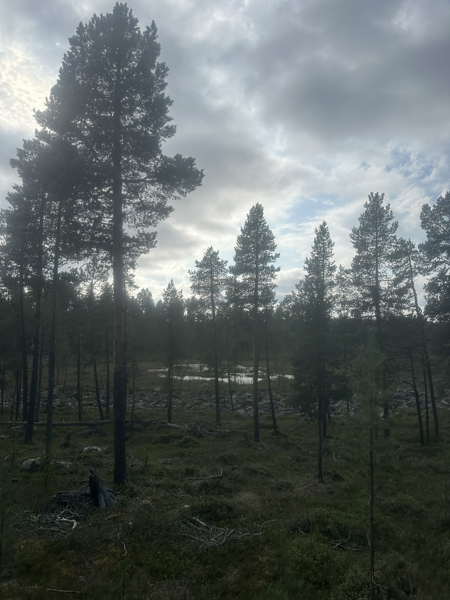 Norway-Sweden-Finland-Denmark - Image 487